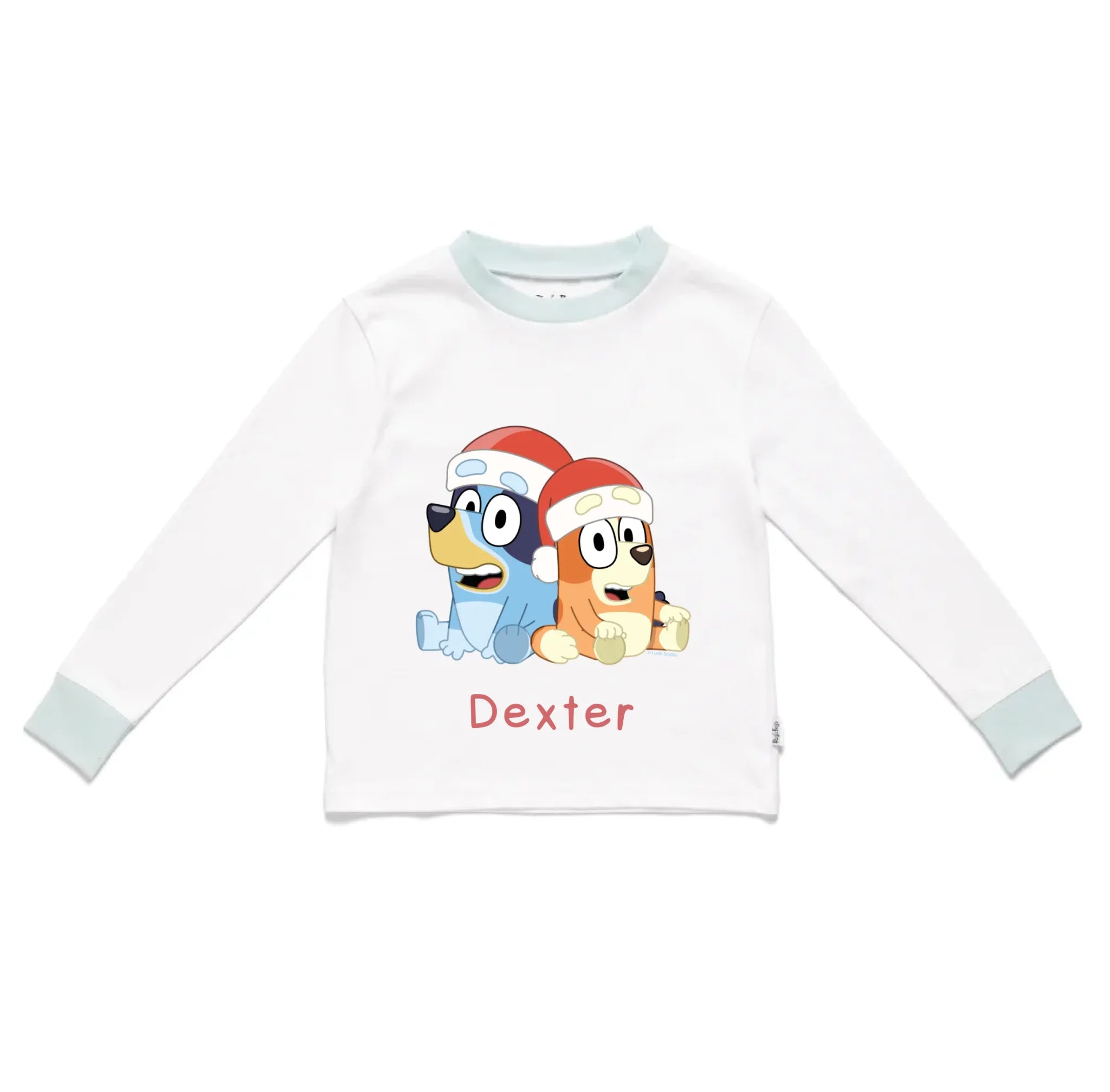 Roys_Boys_Pyjamas_Blank_Long_Sleeve_Tee_front