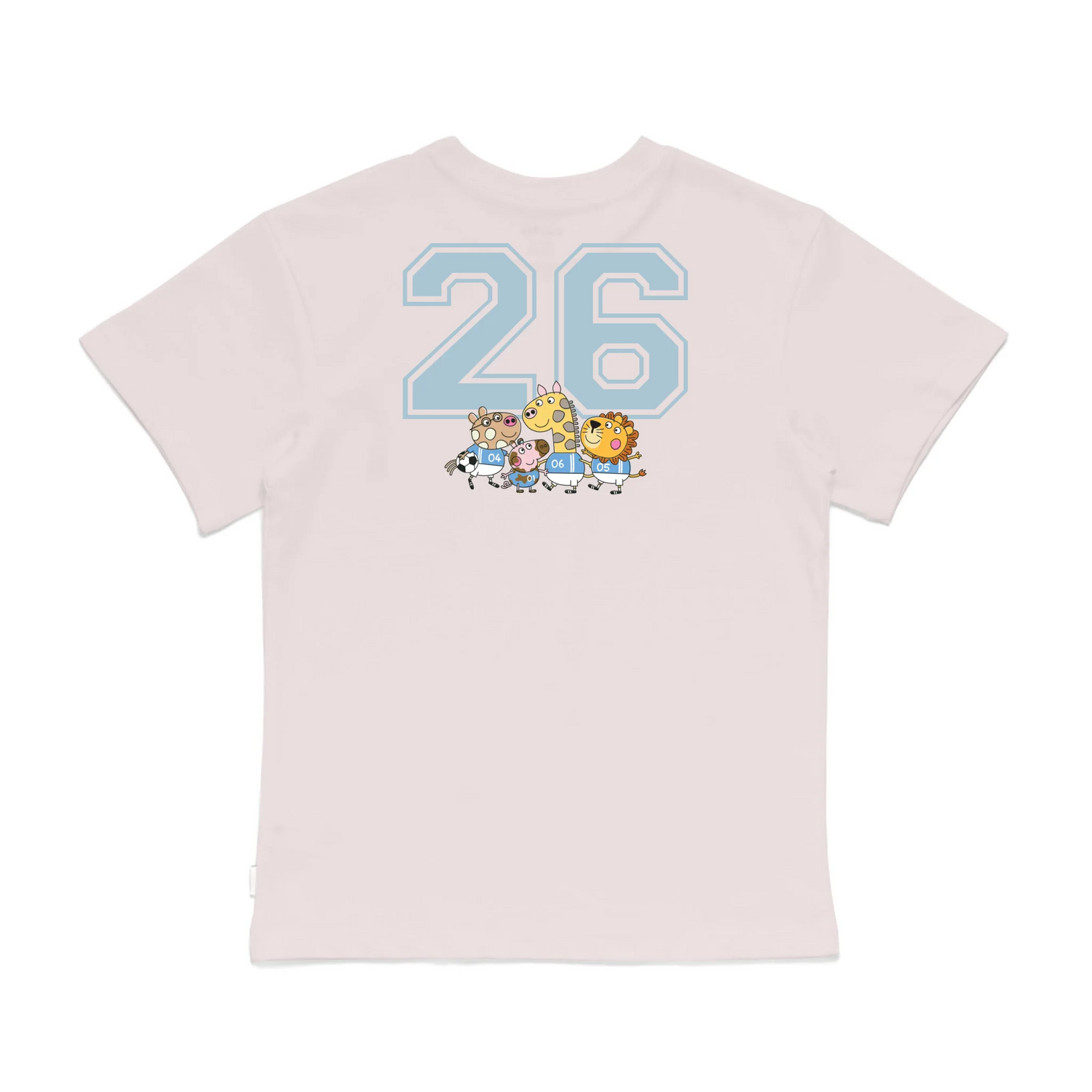 Roys Boys Pink T-Shirt Imagery_0008_Older Kids Back