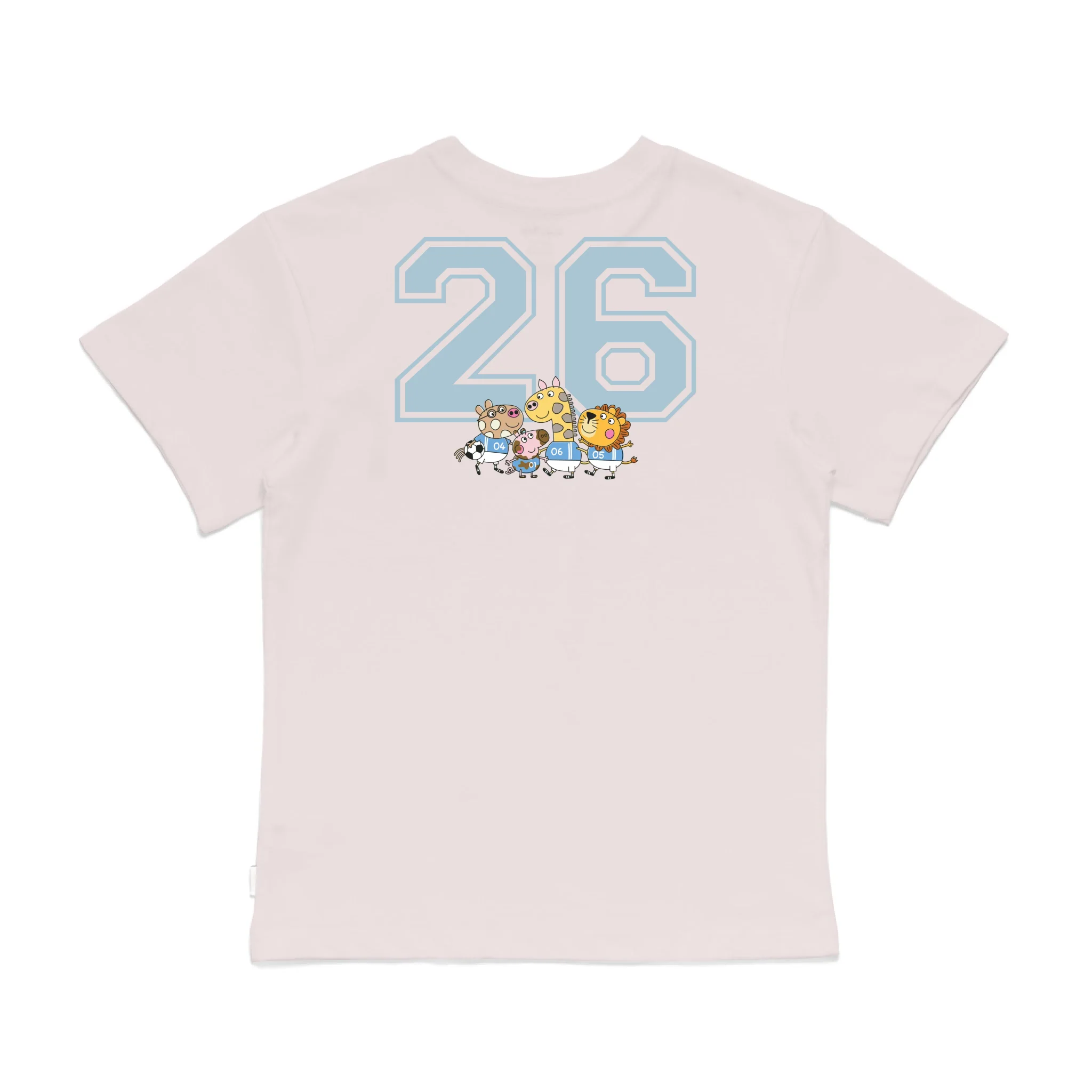 Roys Boys Pink T-Shirt Imagery_0008_Older Kids Back