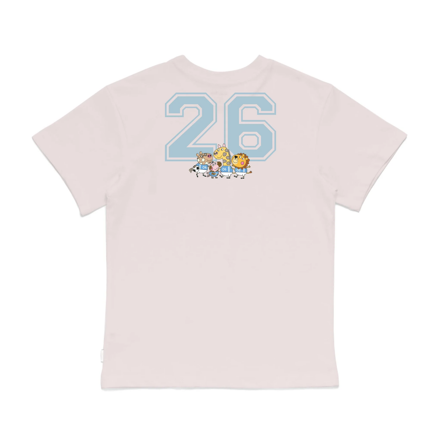 Roys Boys Pink T-Shirt Imagery_0008_Older Kids Back