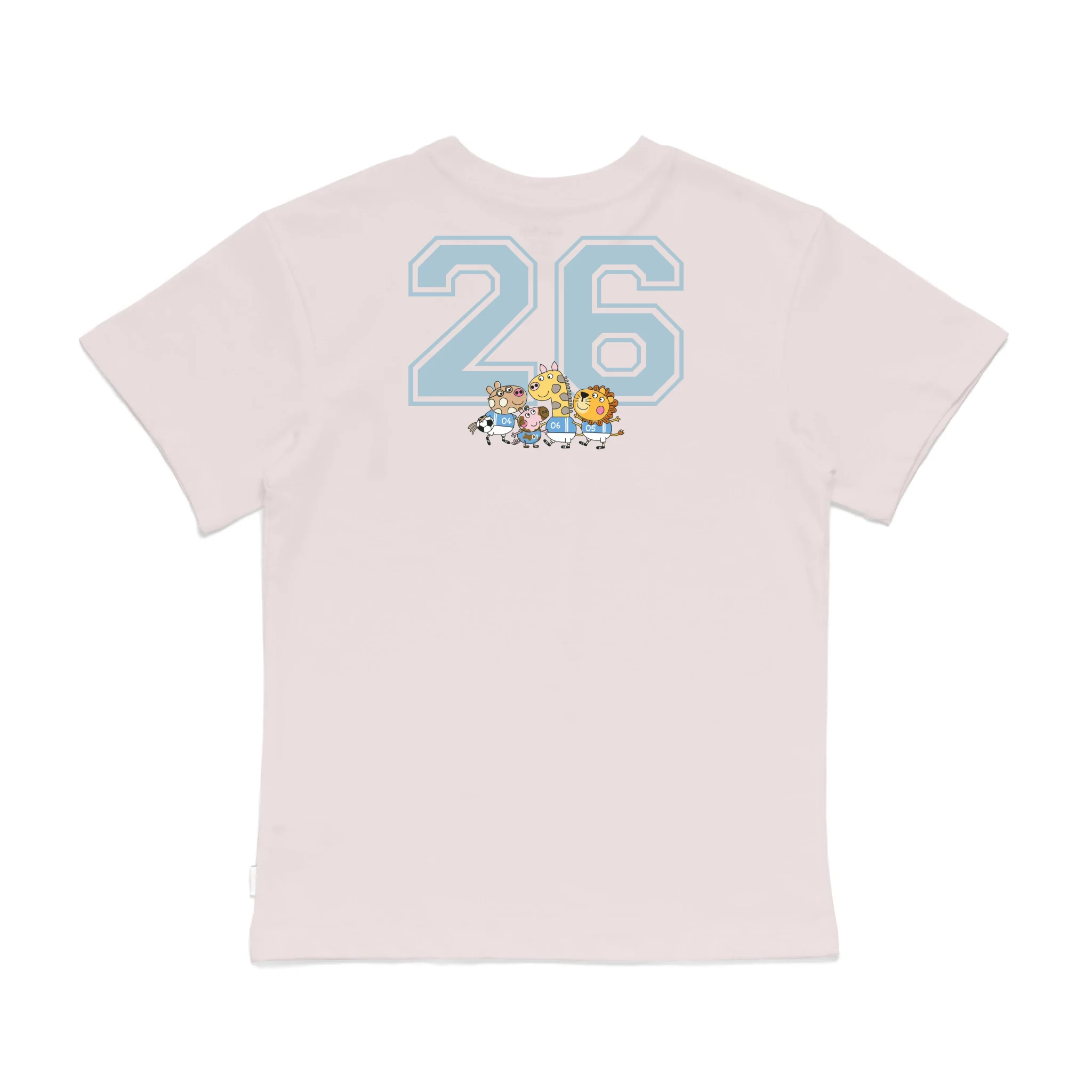 Roys Boys Pink T-Shirt Imagery_0008_Older Kids Back