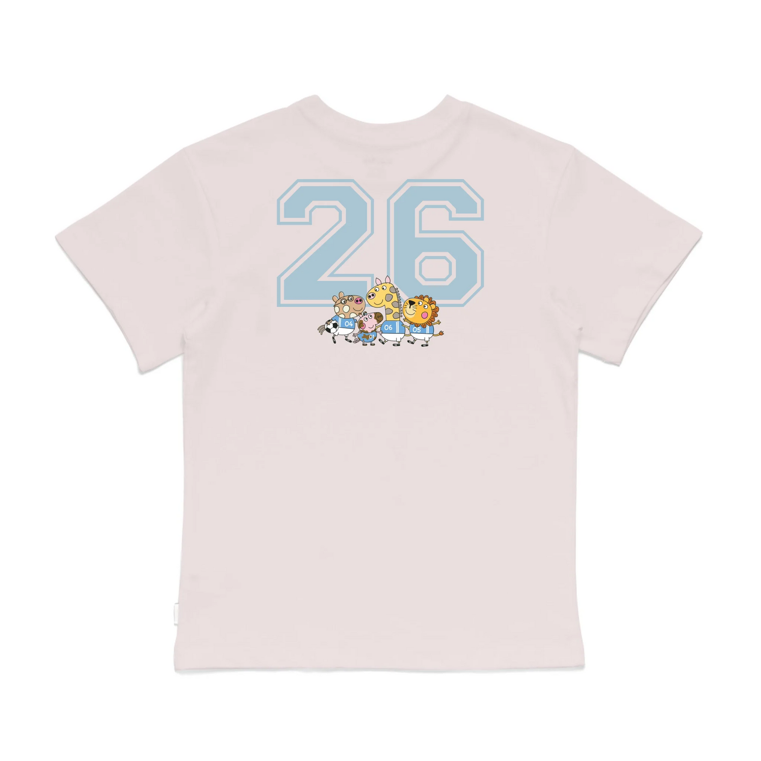 Roys Boys Pink T-Shirt Imagery_0008_Older Kids Back