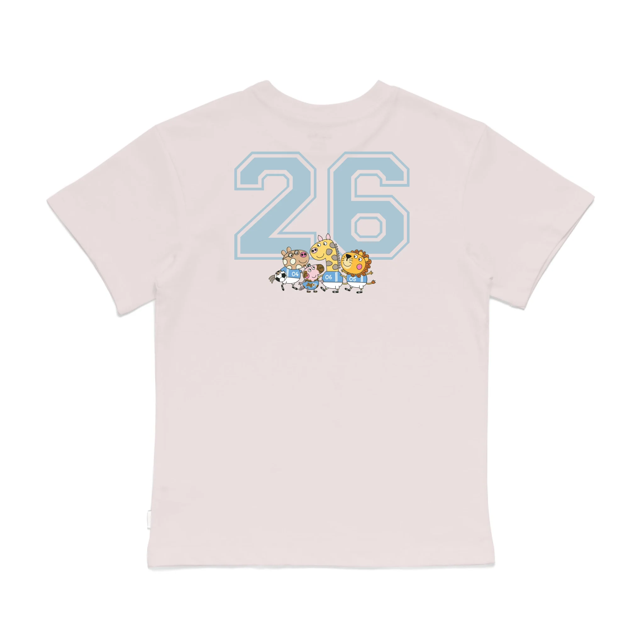 Roys Boys Pink T-Shirt Imagery_0008_Older Kids Back