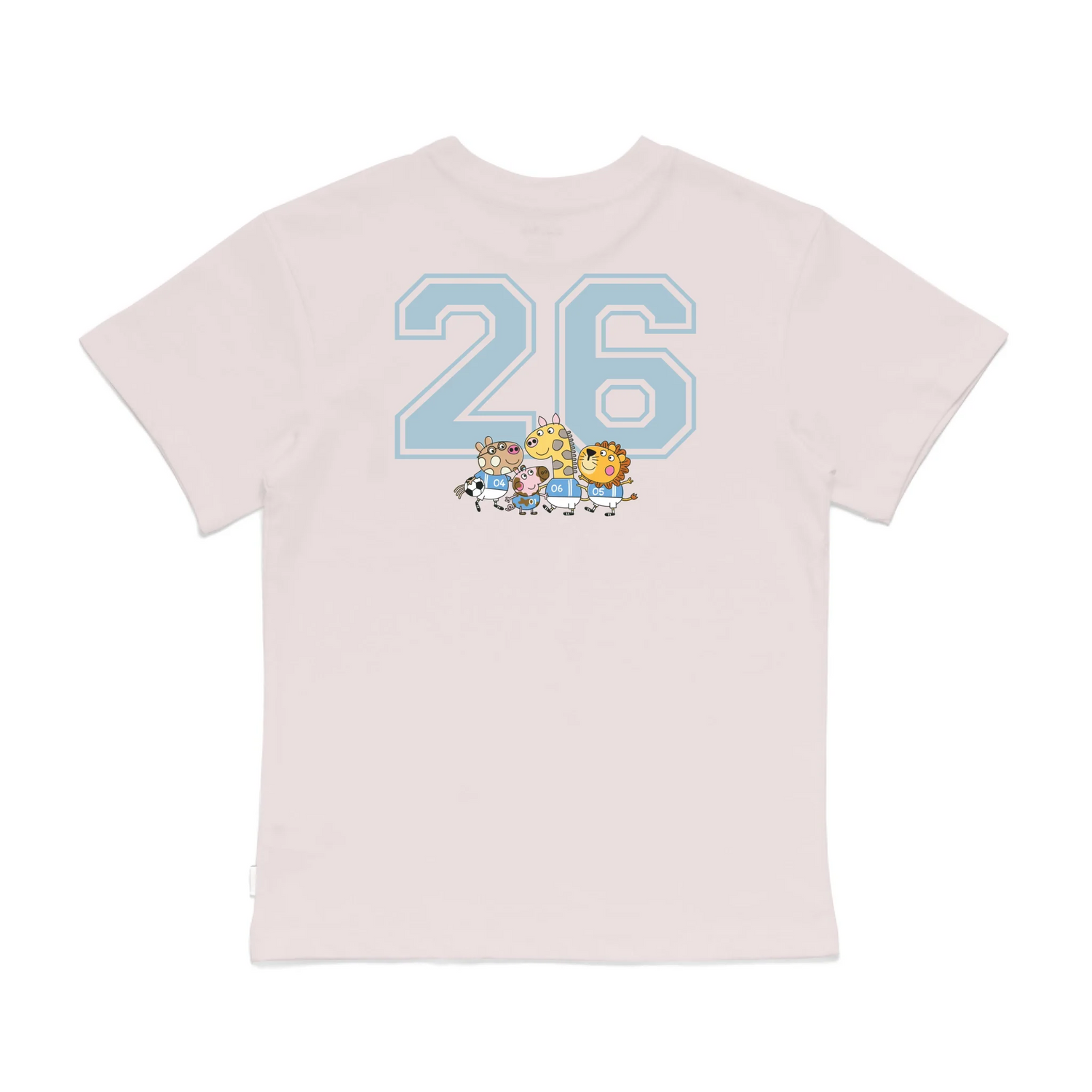 Roys Boys Pink T-Shirt Imagery_0008_Older Kids Back