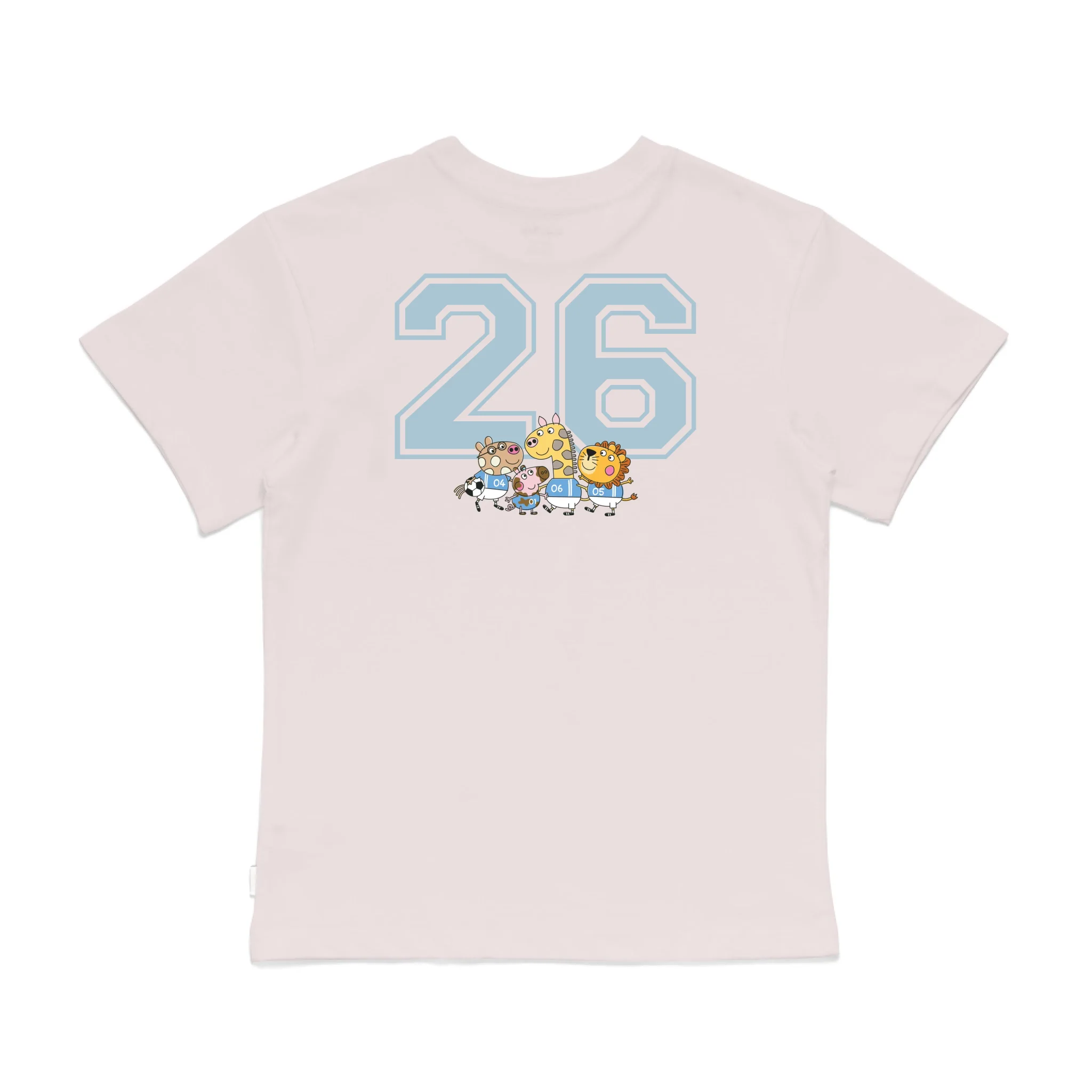 Roys Boys Pink T-Shirt Imagery_0008_Older Kids Back
