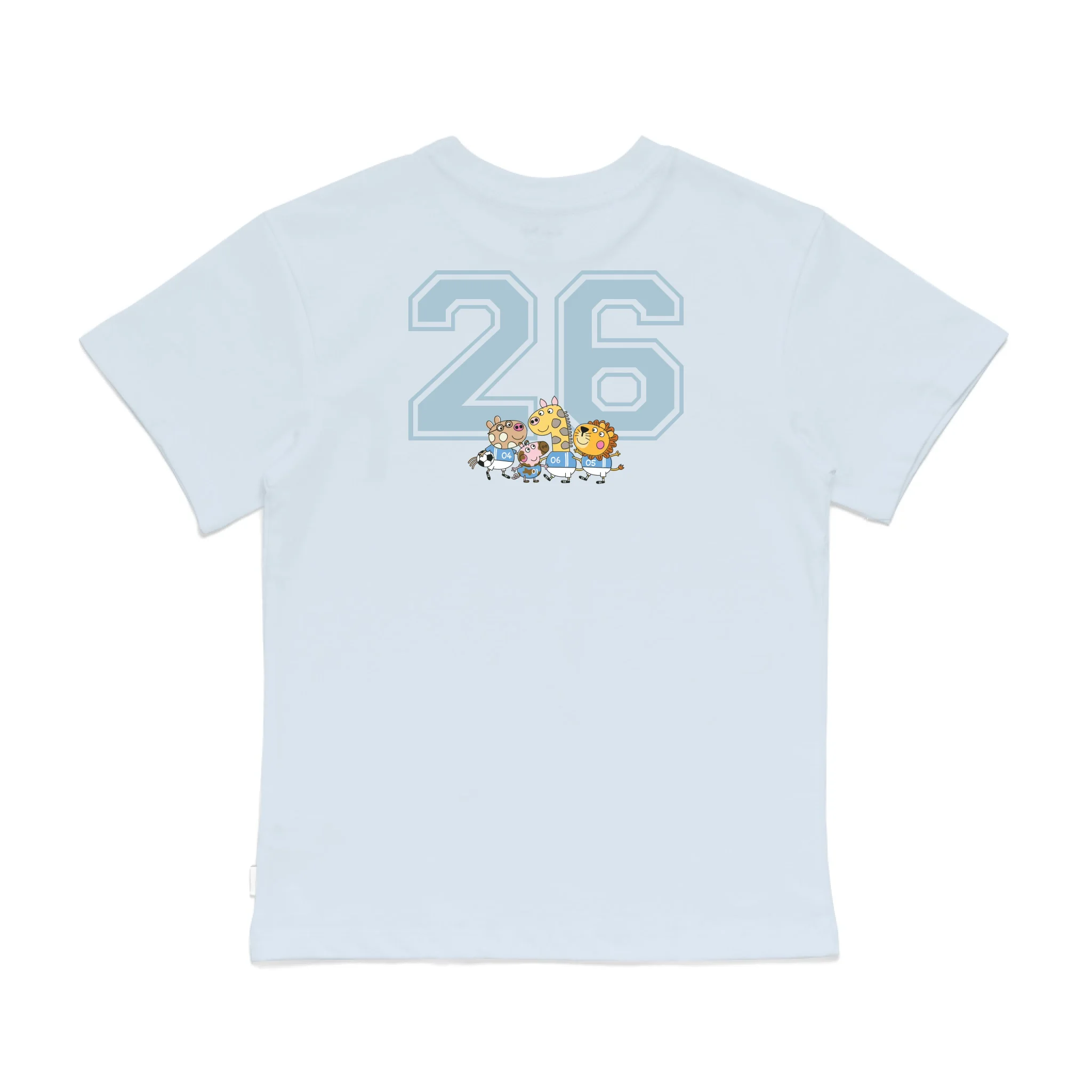 Roys Boys Bue T-Shirt Imagery_0008_Older Kids Back