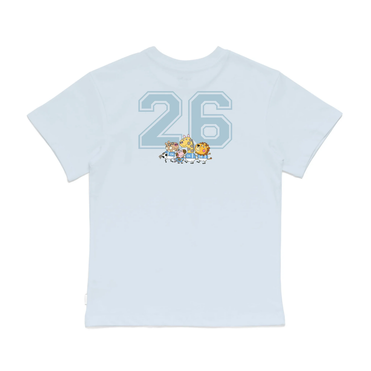 Roys Boys Bue T-Shirt Imagery_0008_Older Kids Back