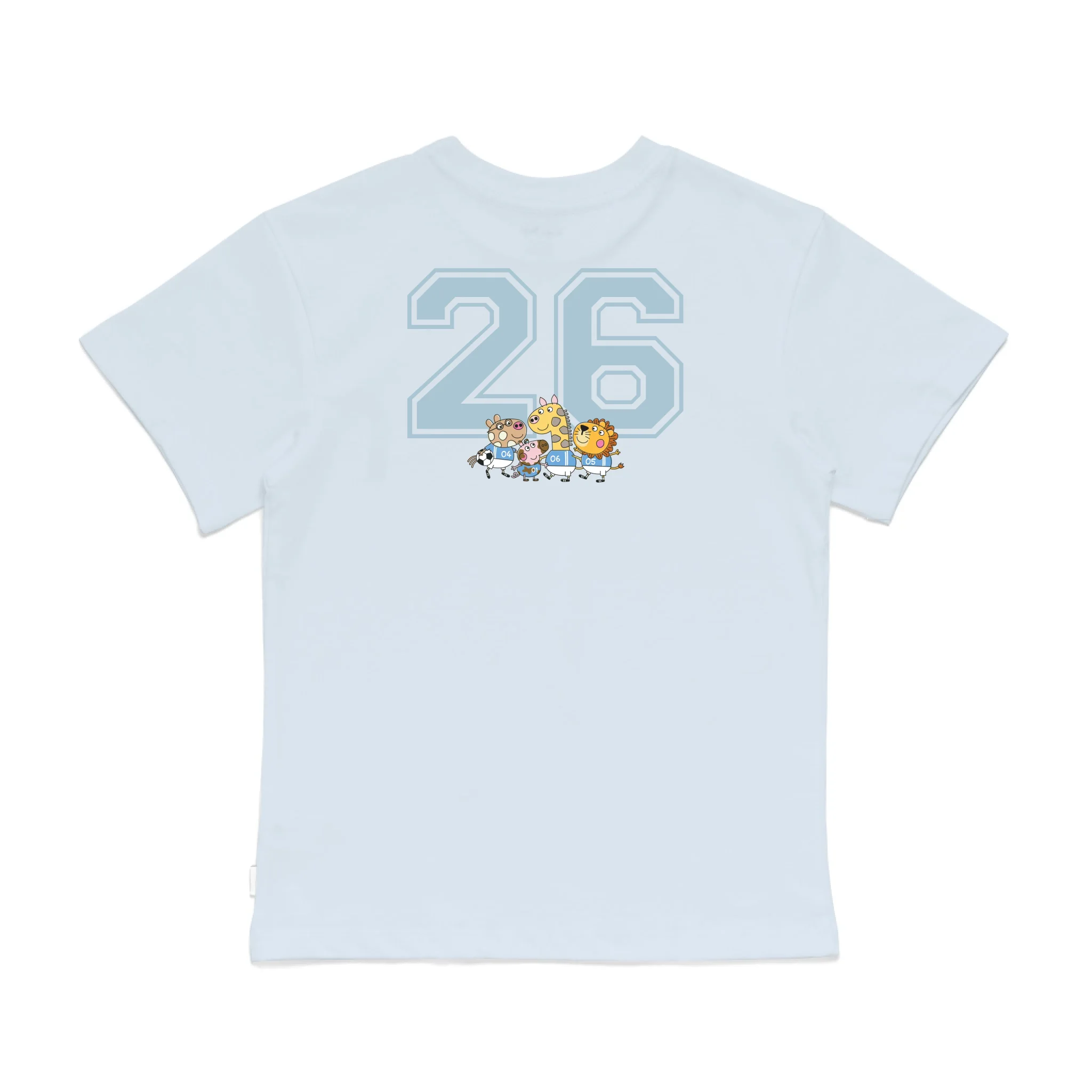 Roys Boys Bue T-Shirt Imagery_0008_Older Kids Back