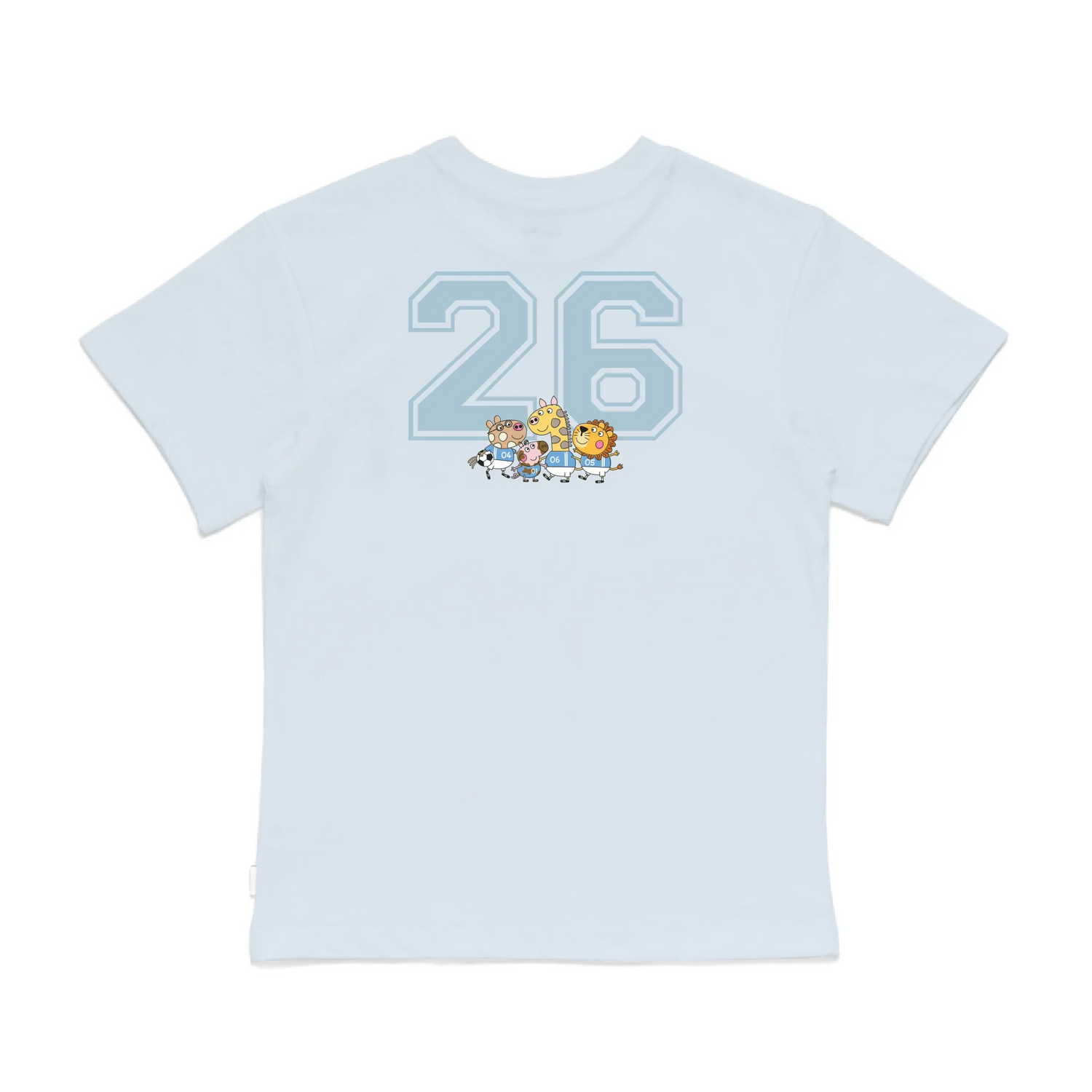 Roys Boys Bue T-Shirt Imagery_0008_Older Kids Back