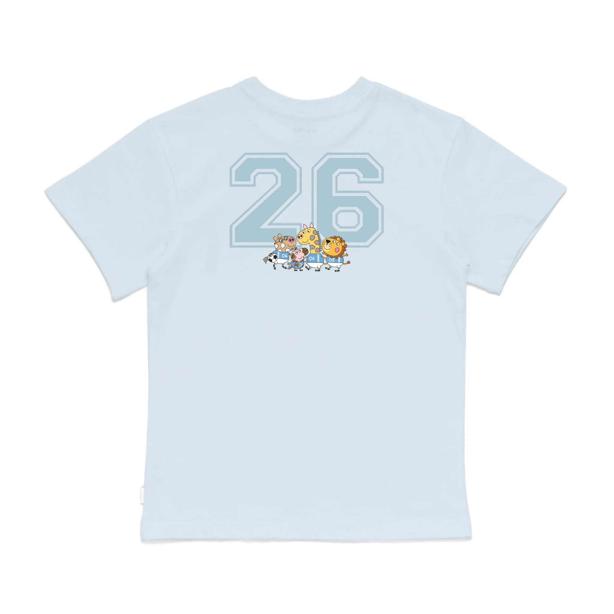 Roys Boys Bue T-Shirt Imagery_0008_Older Kids Back