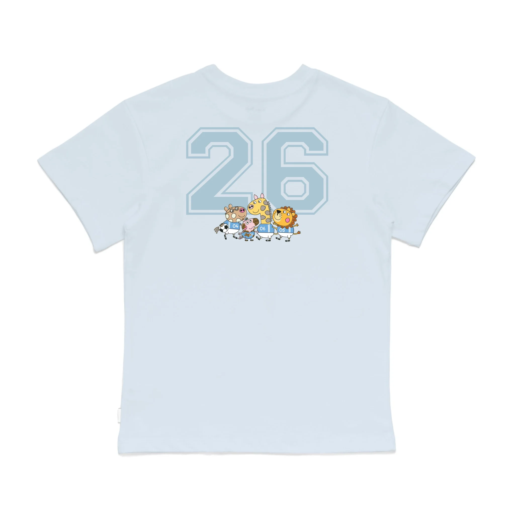 Roys Boys Bue T-Shirt Imagery_0008_Older Kids Back