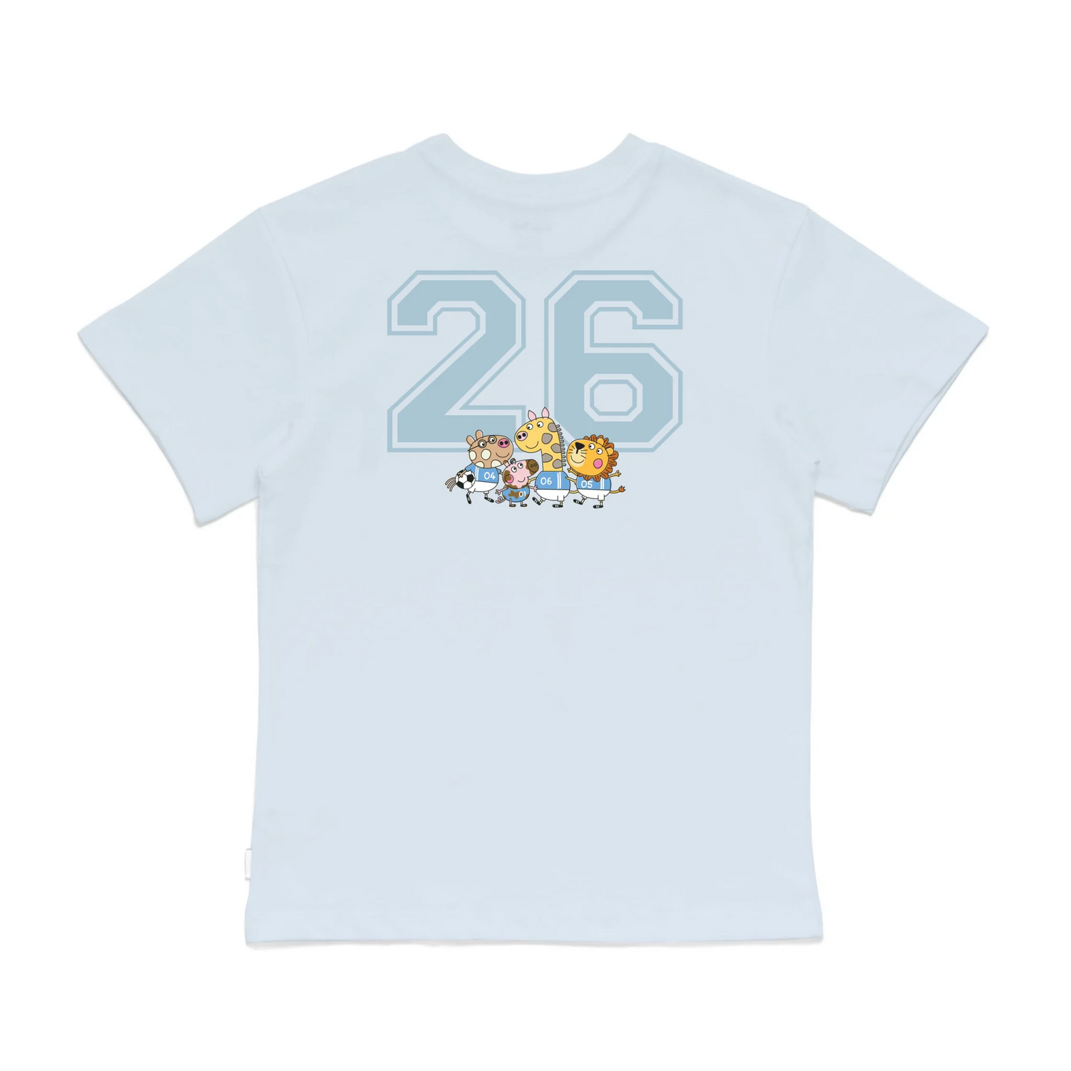 Roys Boys Bue T-Shirt Imagery_0008_Older Kids Back