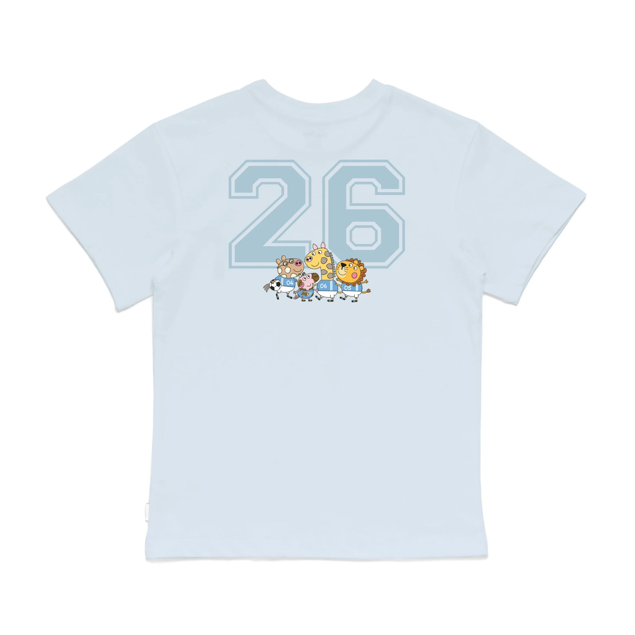 Roys Boys Bue T-Shirt Imagery_0008_Older Kids Back
