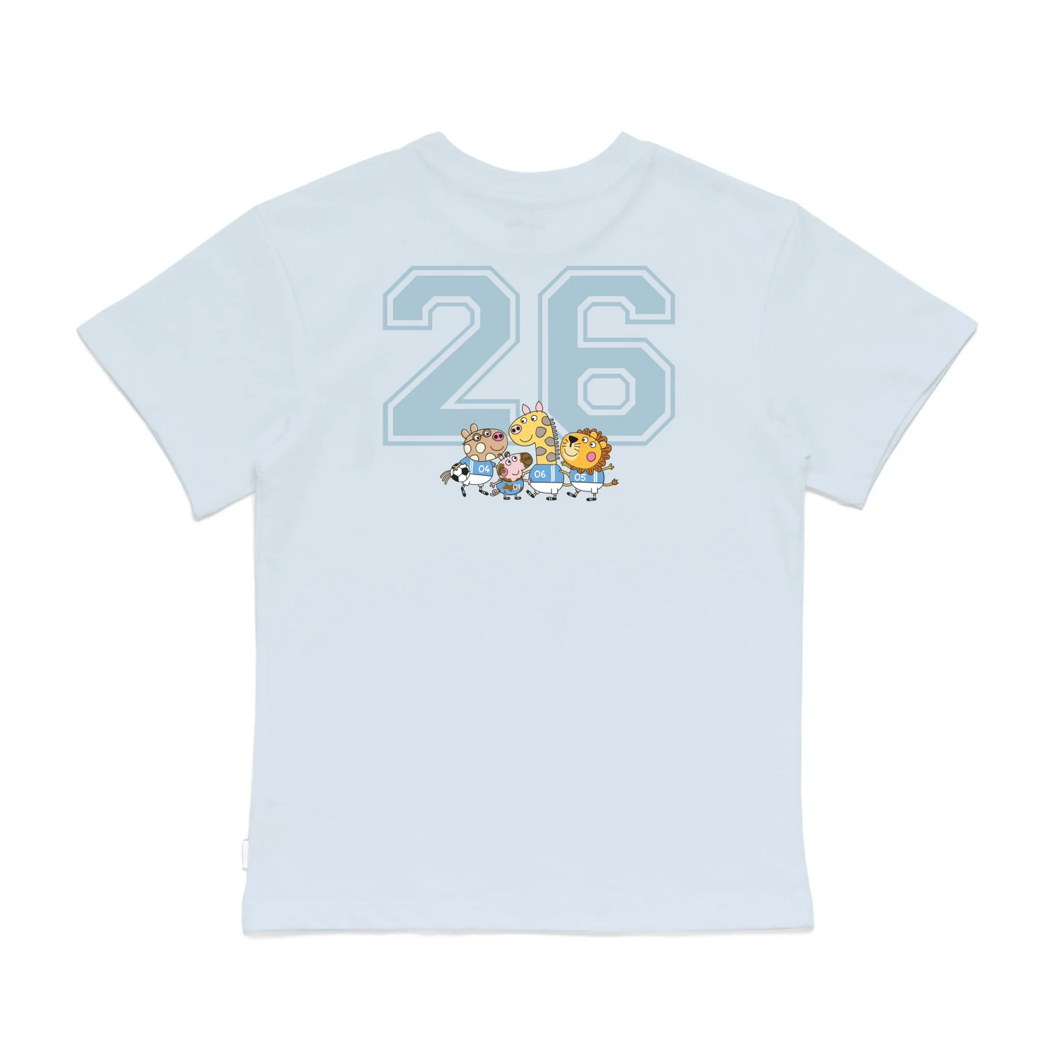 Roys Boys Bue T-Shirt Imagery_0008_Older Kids Back