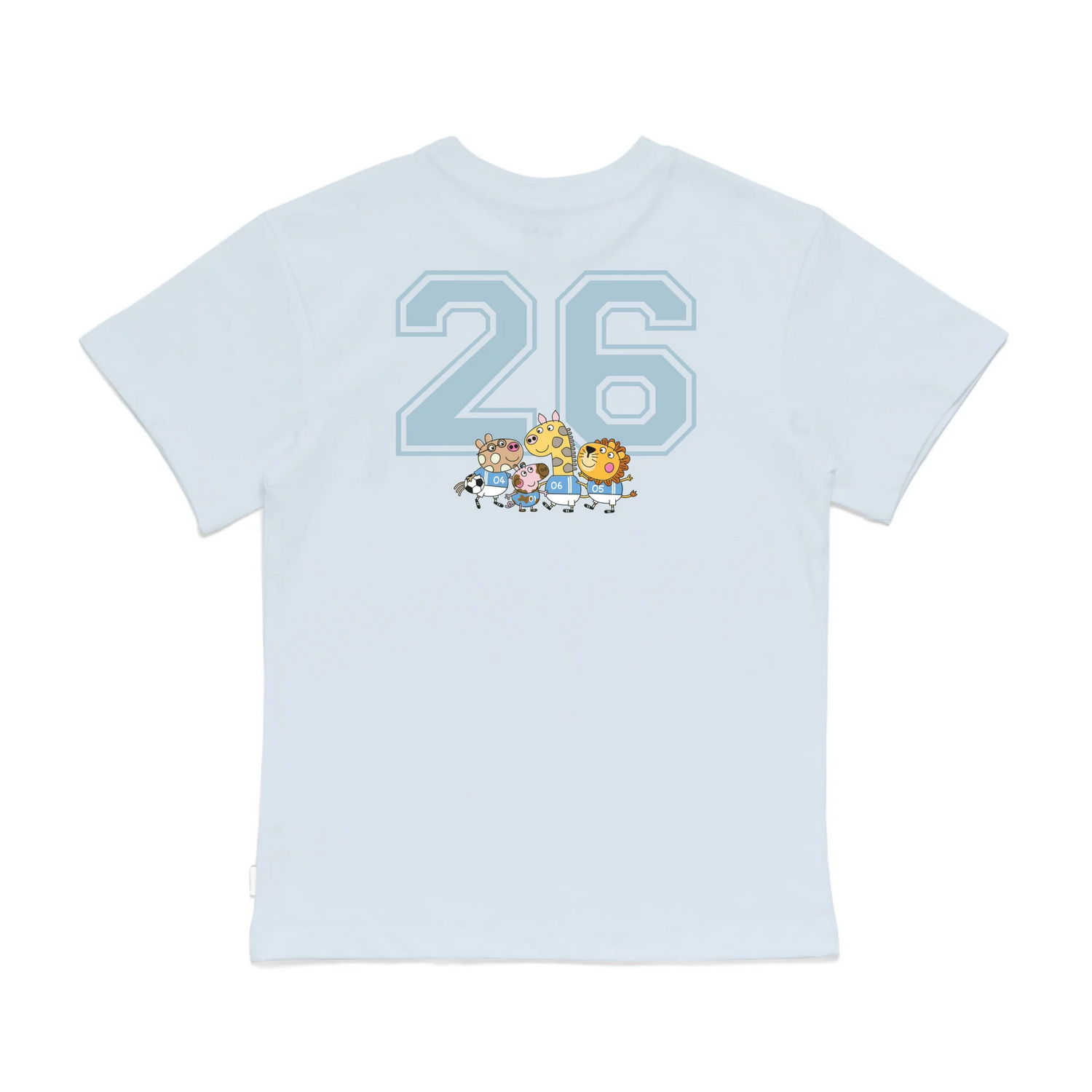 Roys Boys Bue T-Shirt Imagery_0008_Older Kids Back