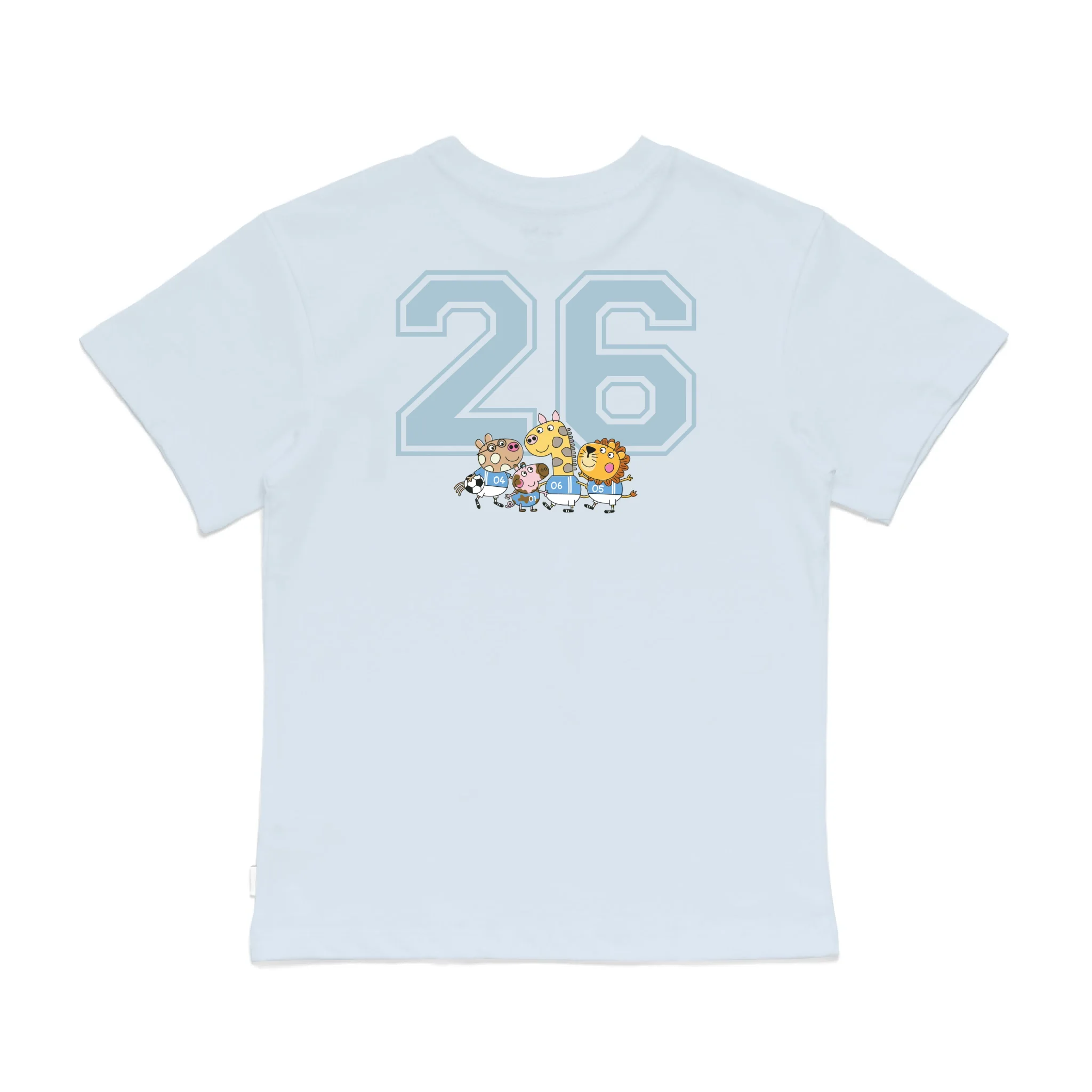 Roys Boys Bue T-Shirt Imagery_0008_Older Kids Back