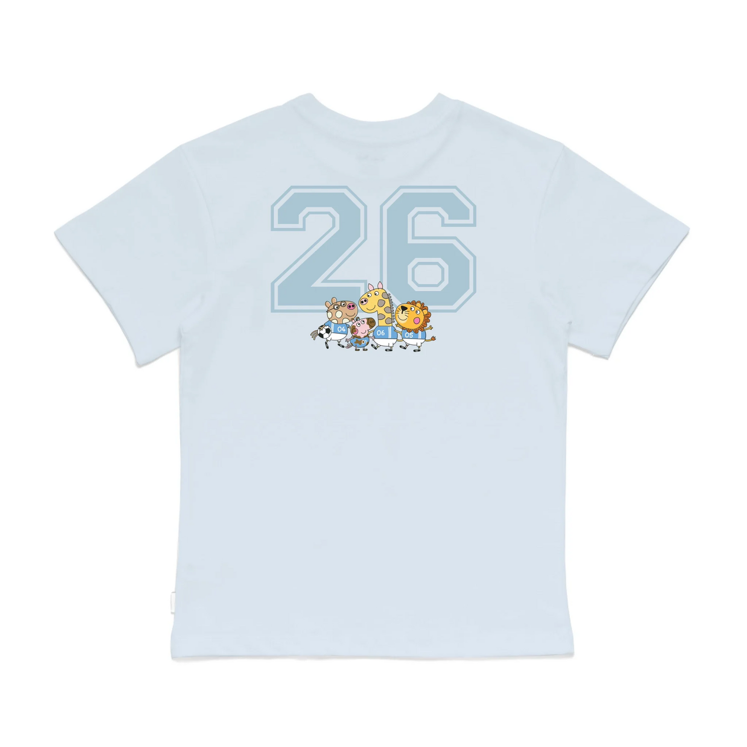 Roys Boys Bue T-Shirt Imagery_0008_Older Kids Back