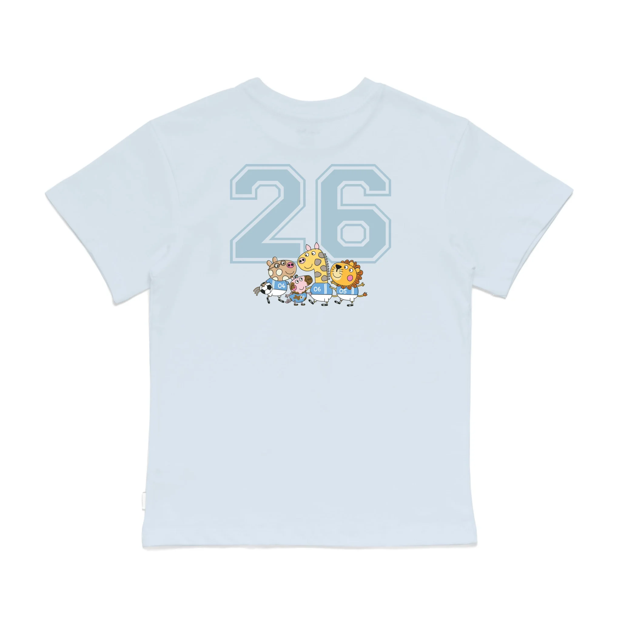 Roys Boys Bue T-Shirt Imagery_0008_Older Kids Back