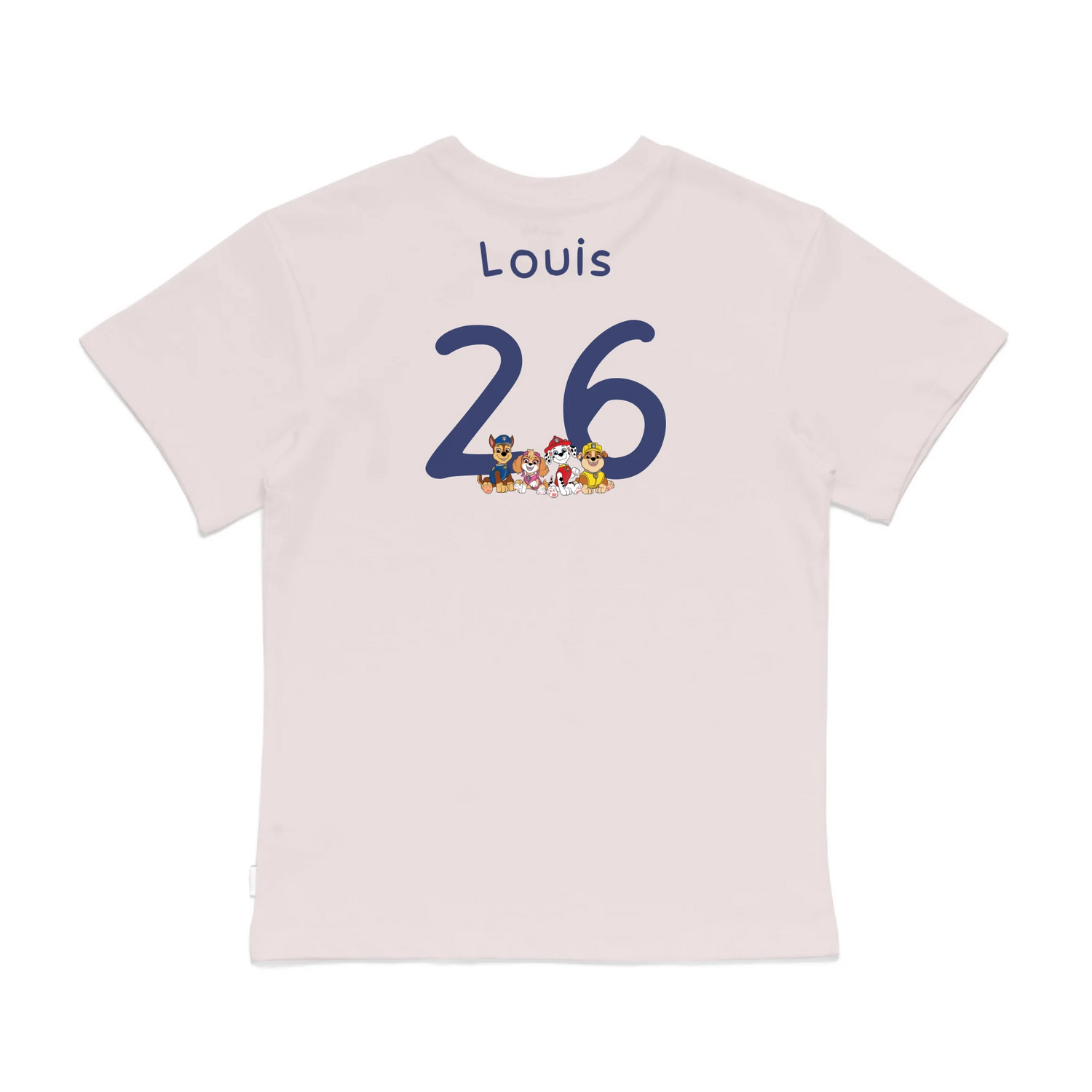 Roys Boys Pink T-Shirt Imagery_0008_Older Kids Back