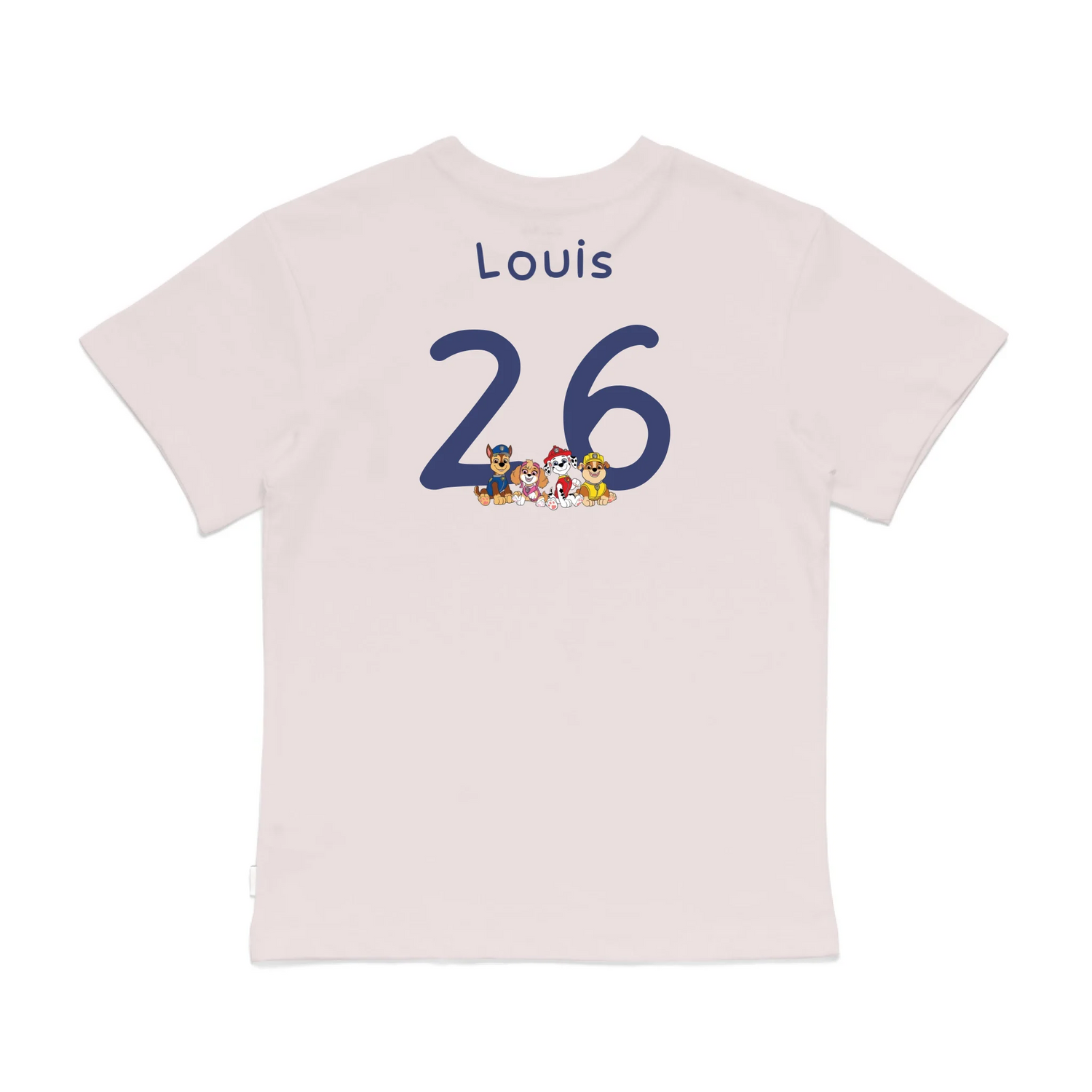 Roys Boys Pink T-Shirt Imagery_0008_Older Kids Back
