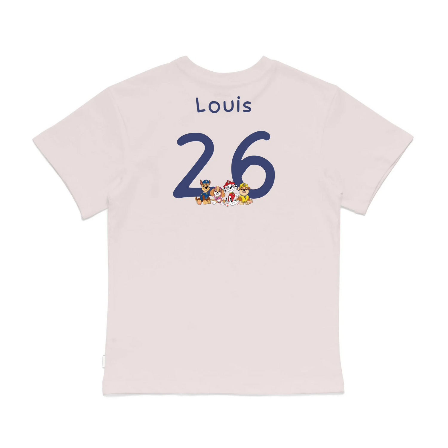 Roys Boys Pink T-Shirt Imagery_0008_Older Kids Back