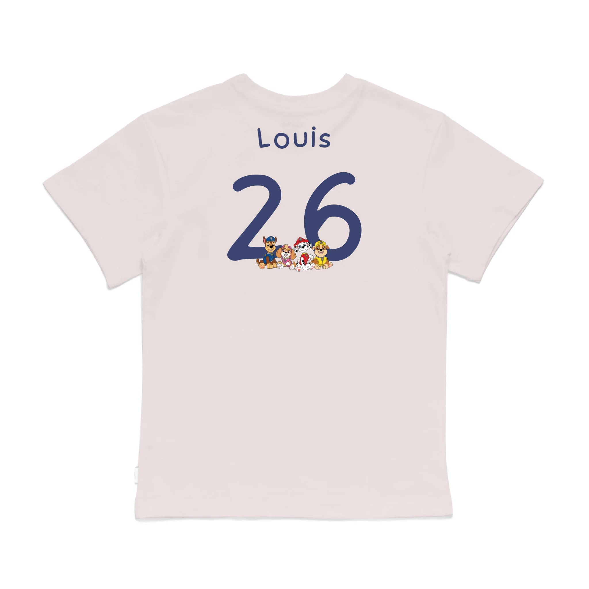 Roys Boys Pink T-Shirt Imagery_0008_Older Kids Back