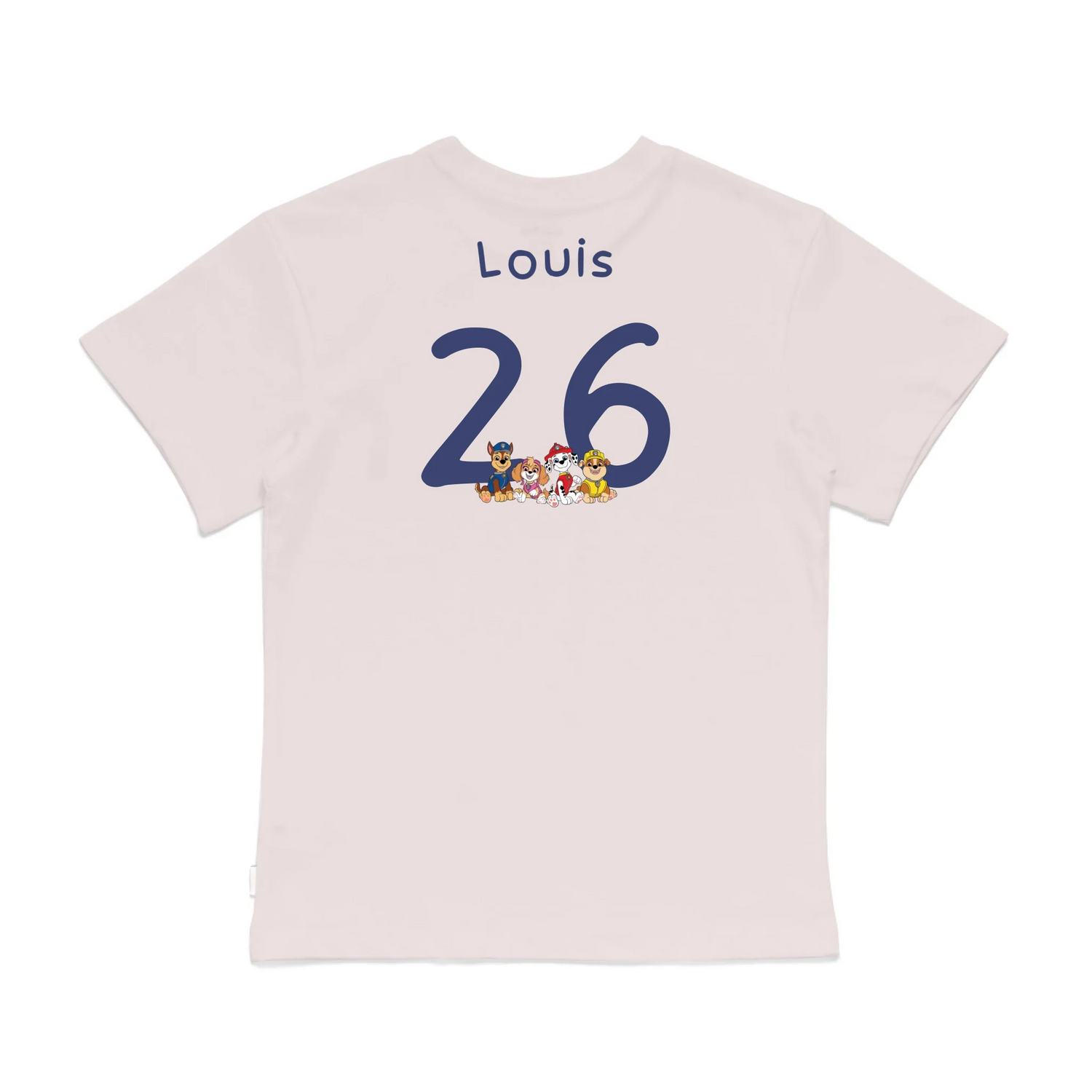 Roys Boys Pink T-Shirt Imagery_0008_Older Kids Back