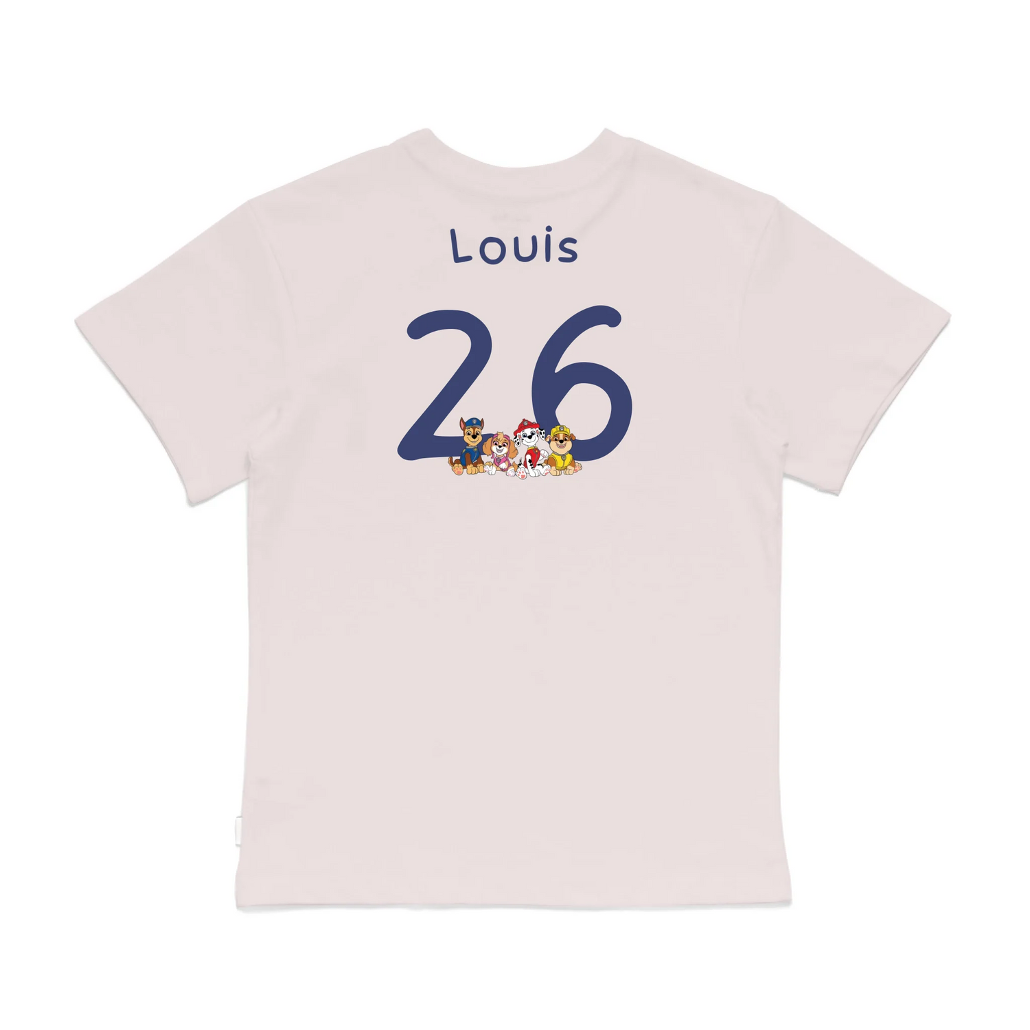Roys Boys Pink T-Shirt Imagery_0008_Older Kids Back