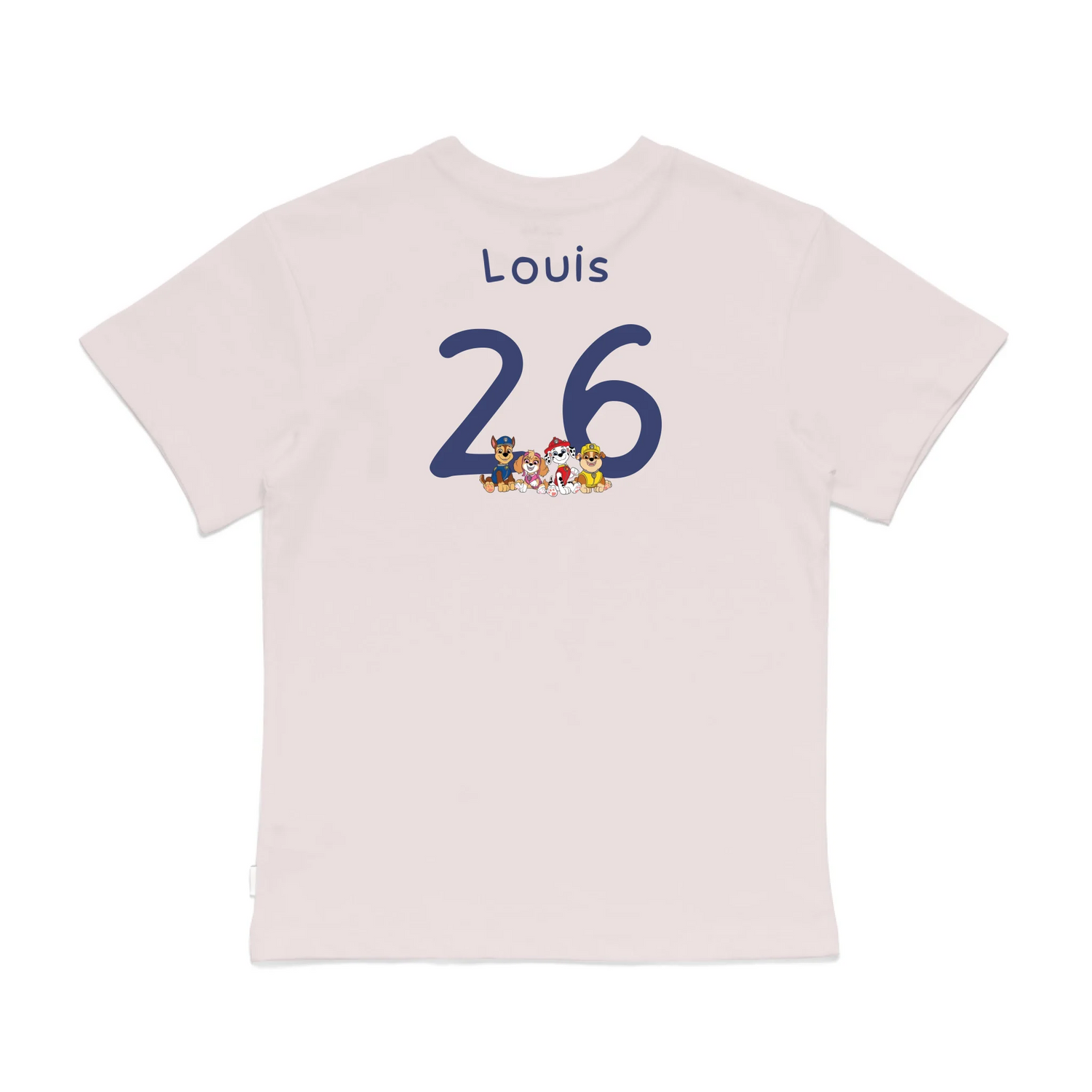 Roys Boys Pink T-Shirt Imagery_0008_Older Kids Back