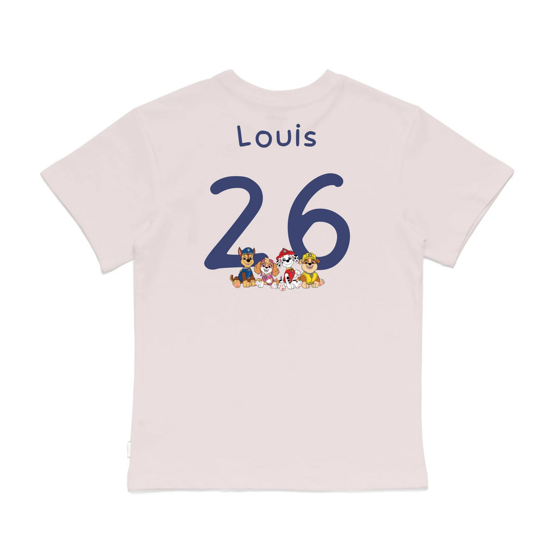 Roys Boys Pink T-Shirt Imagery_0008_Older Kids Back