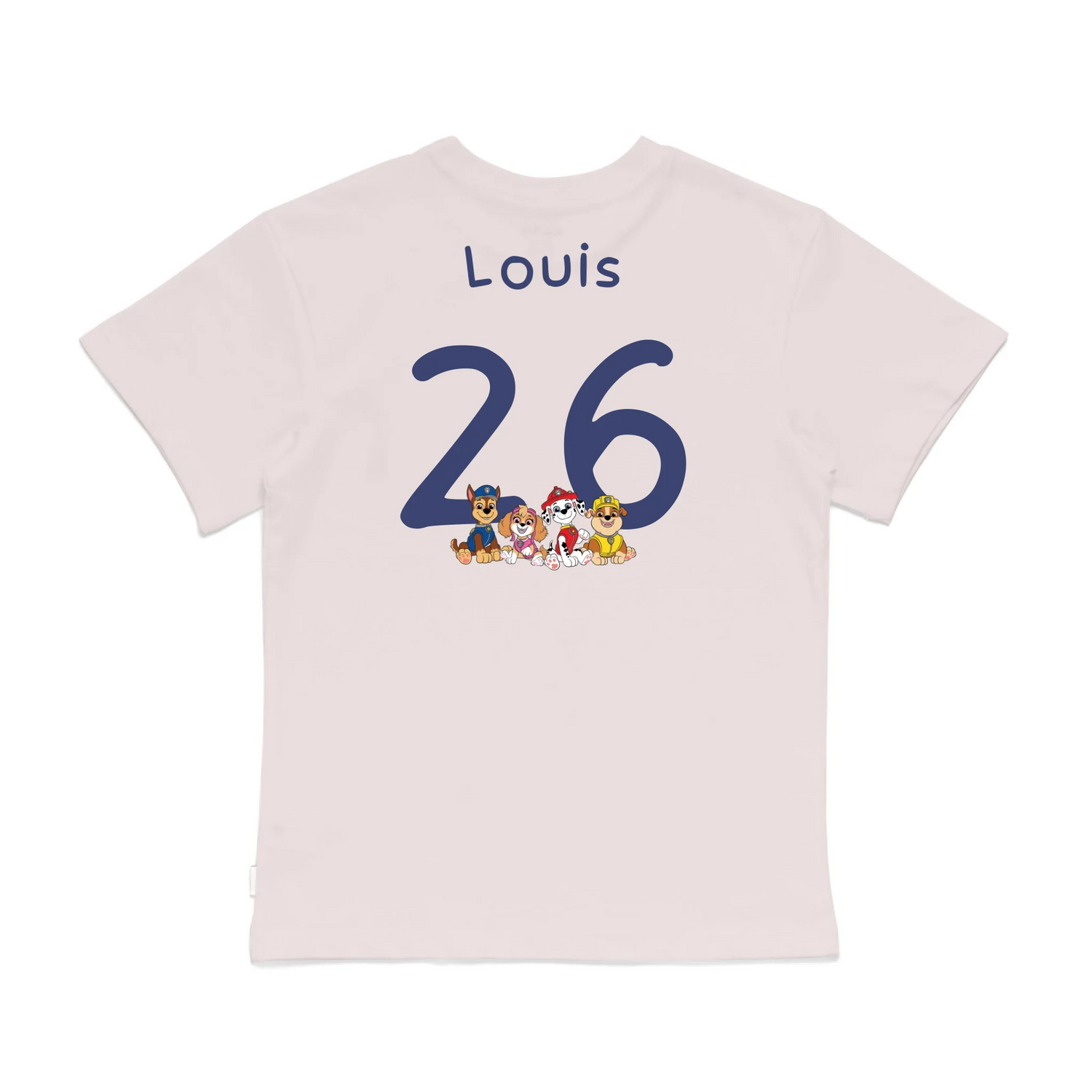 Roys Boys Pink T-Shirt Imagery_0008_Older Kids Back