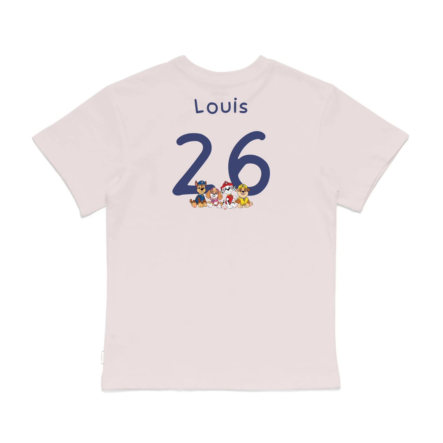 Roys Boys Pink T-Shirt Imagery_0008_Older Kids Back