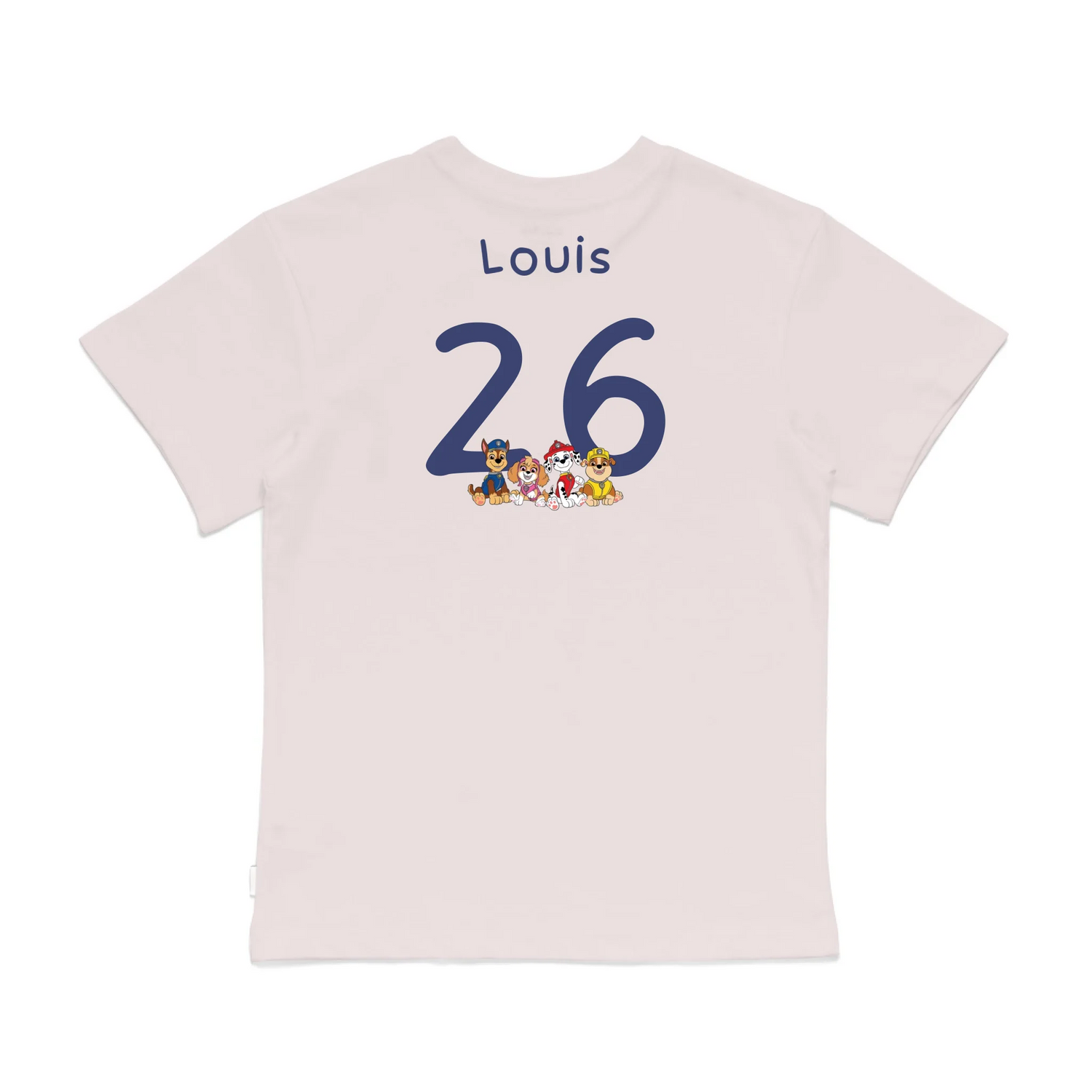 Roys Boys Pink T-Shirt Imagery_0008_Older Kids Back