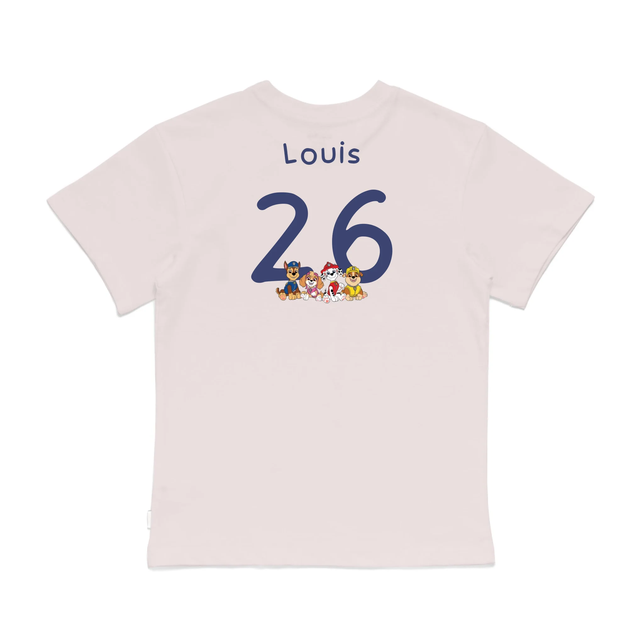 Roys Boys Pink T-Shirt Imagery_0008_Older Kids Back