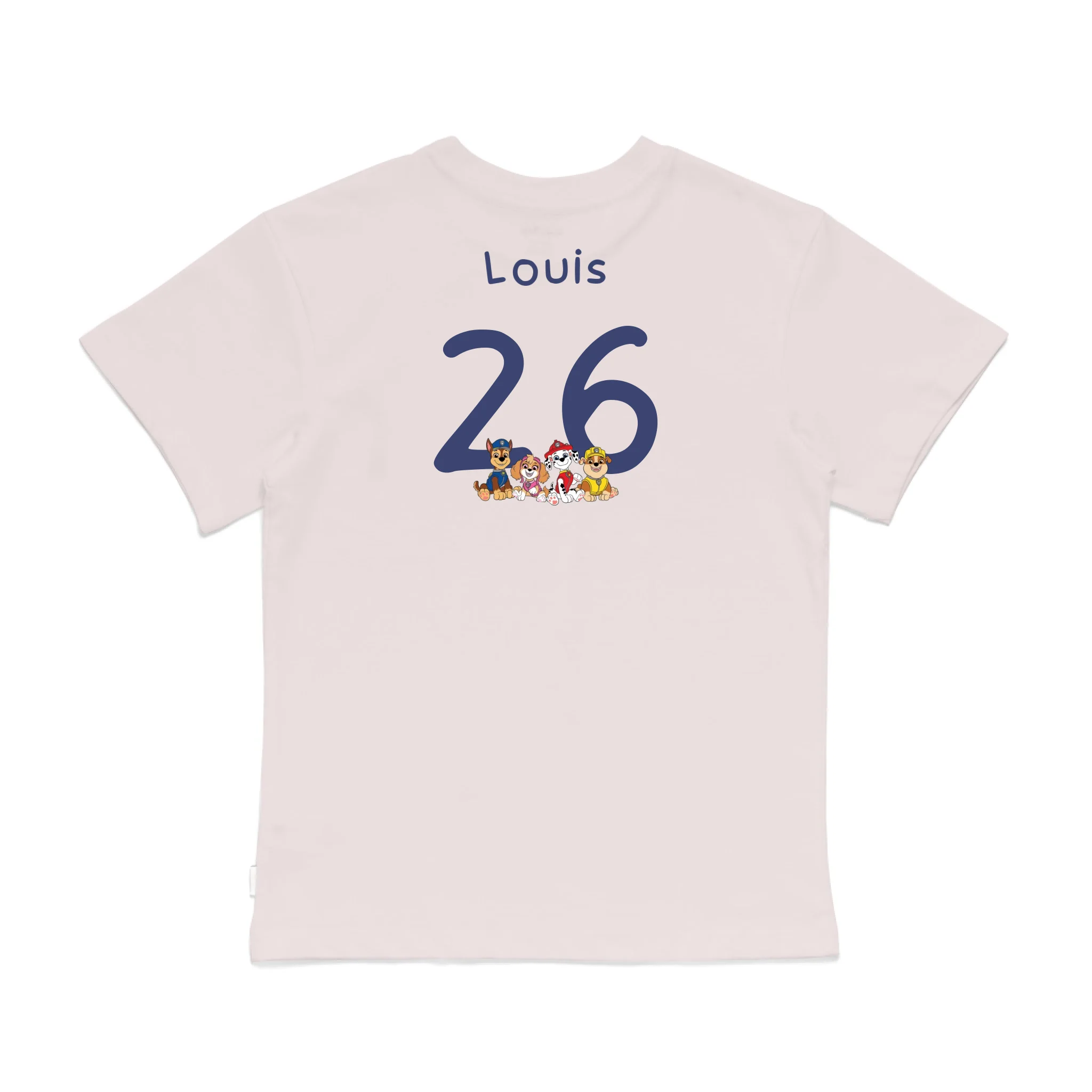 Roys Boys Pink T-Shirt Imagery_0008_Older Kids Back