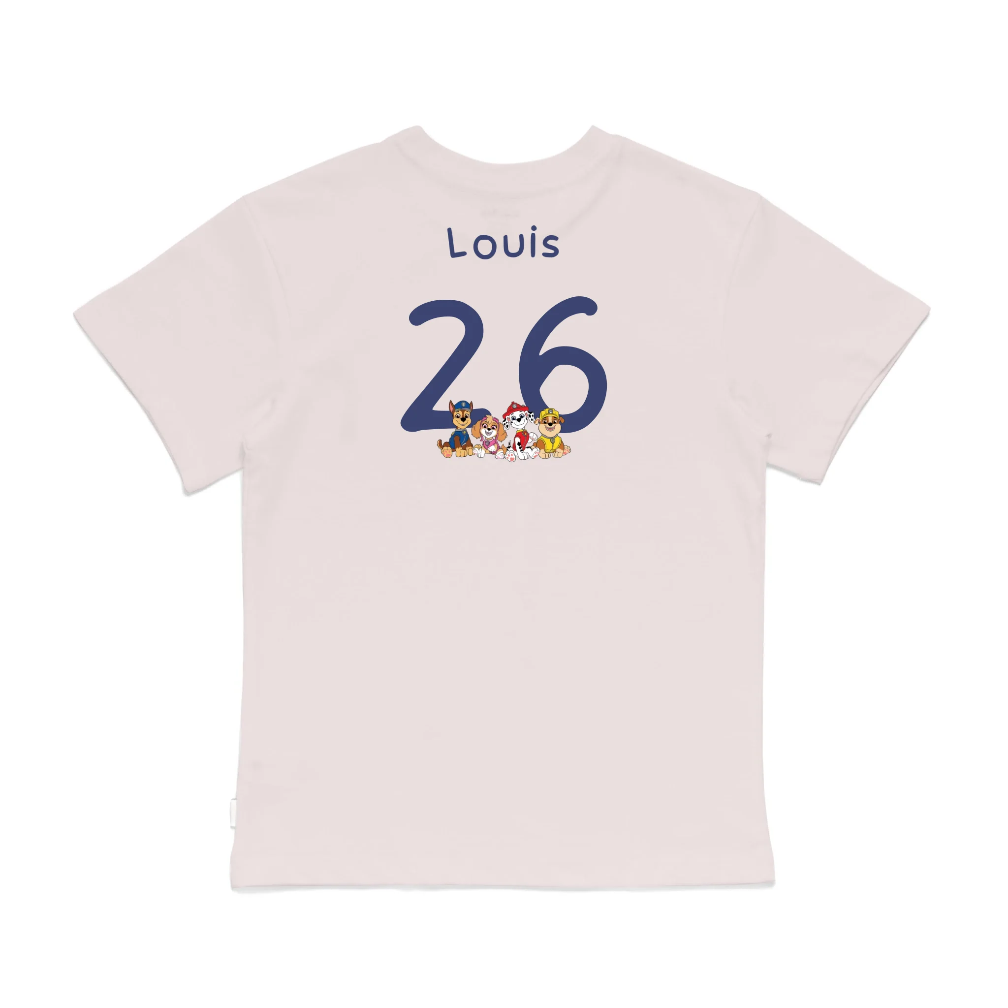 Roys Boys Pink T-Shirt Imagery_0008_Older Kids Back