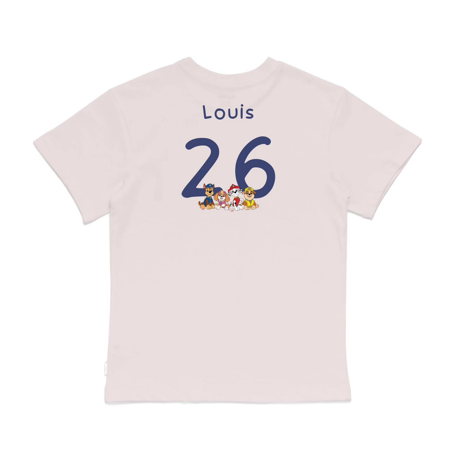 Roys Boys Pink T-Shirt Imagery_0008_Older Kids Back