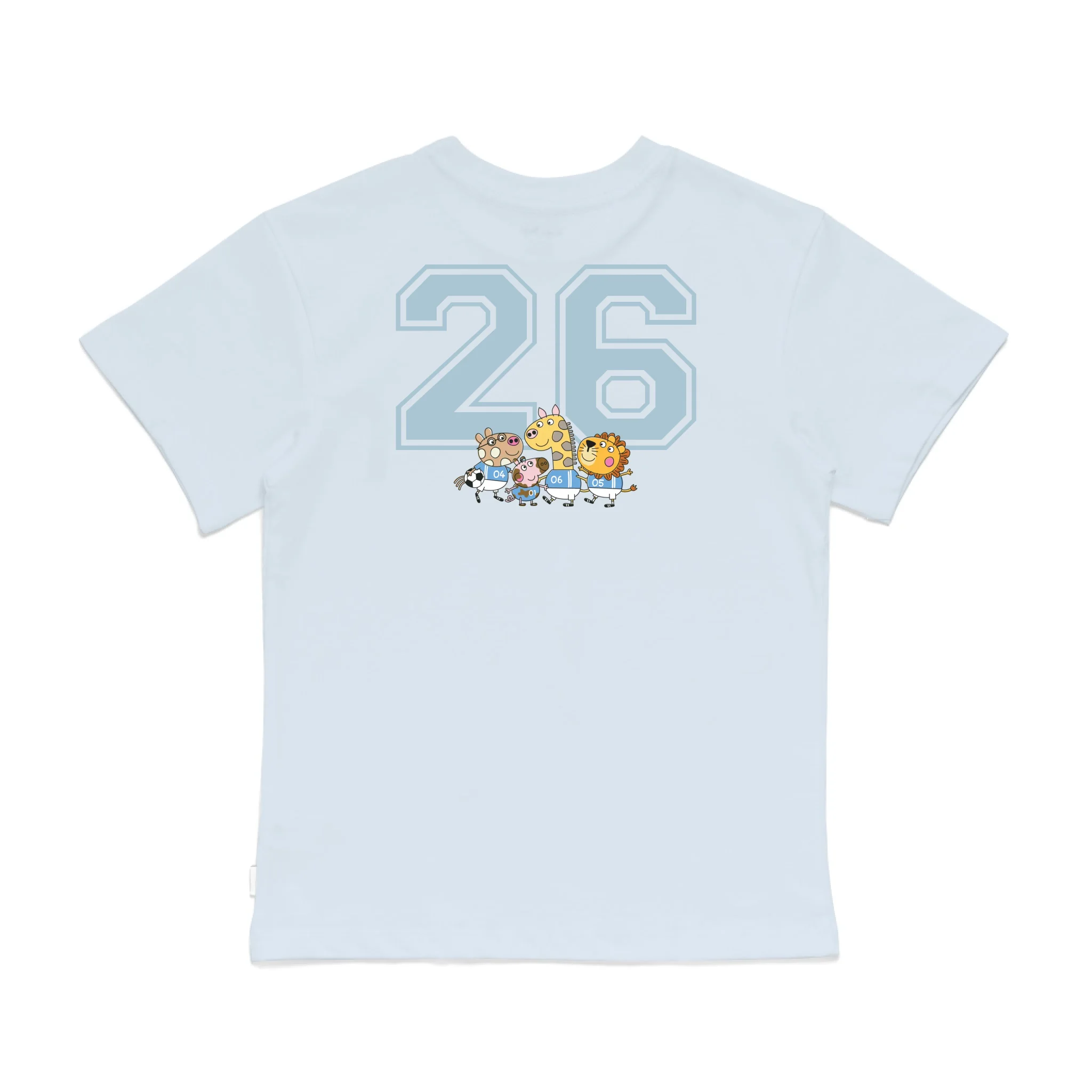 Roys Boys Bue T-Shirt Imagery_0008_Older Kids Back