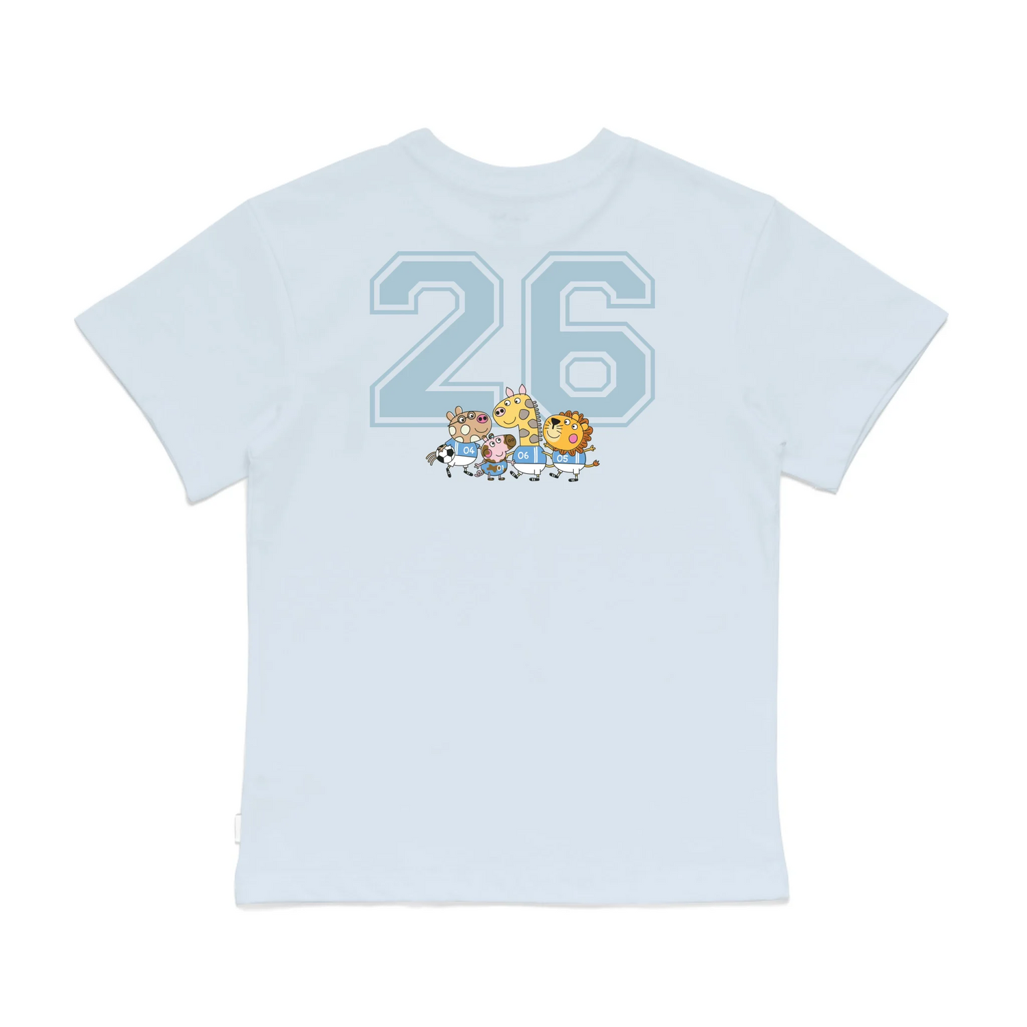Roys Boys Bue T-Shirt Imagery_0008_Older Kids Back