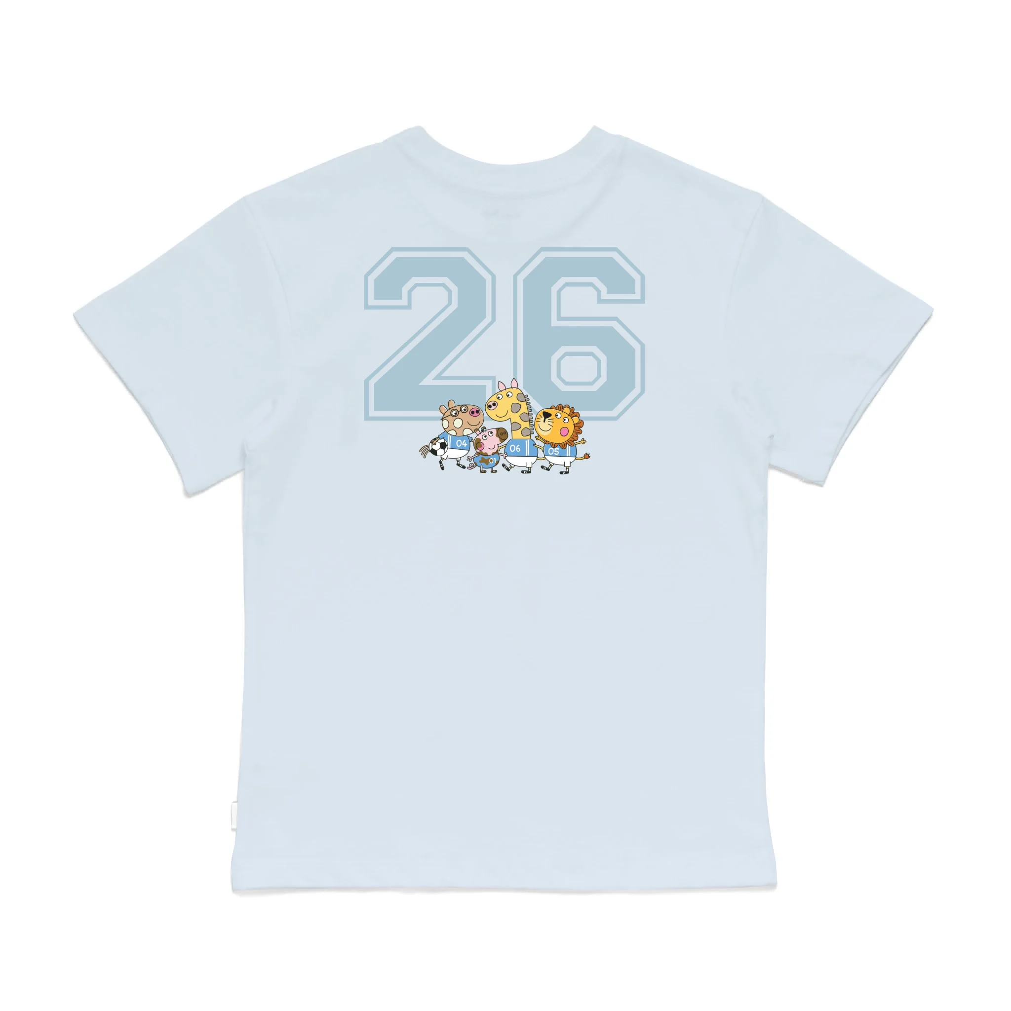 Roys Boys Bue T-Shirt Imagery_0008_Older Kids Back