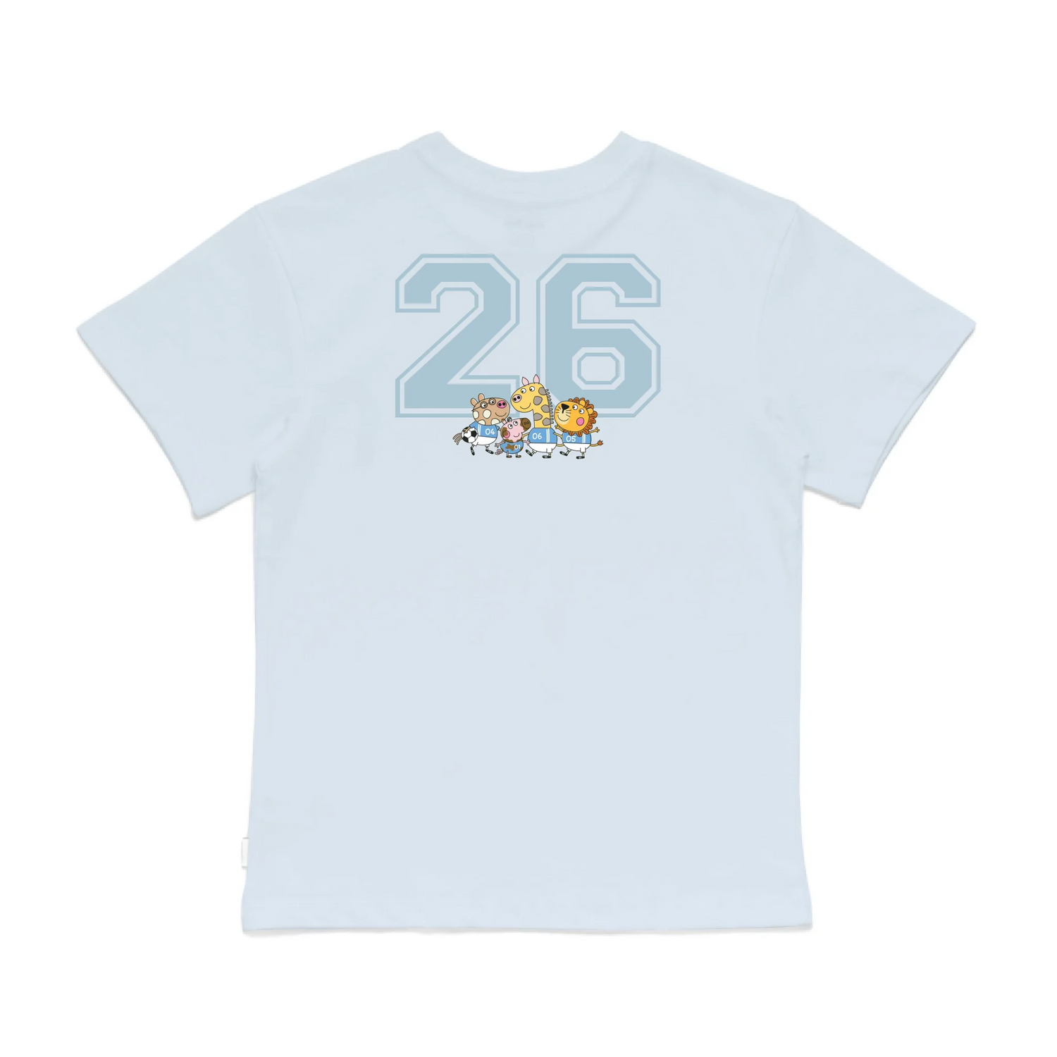 Roys Boys Bue T-Shirt Imagery_0008_Older Kids Back
