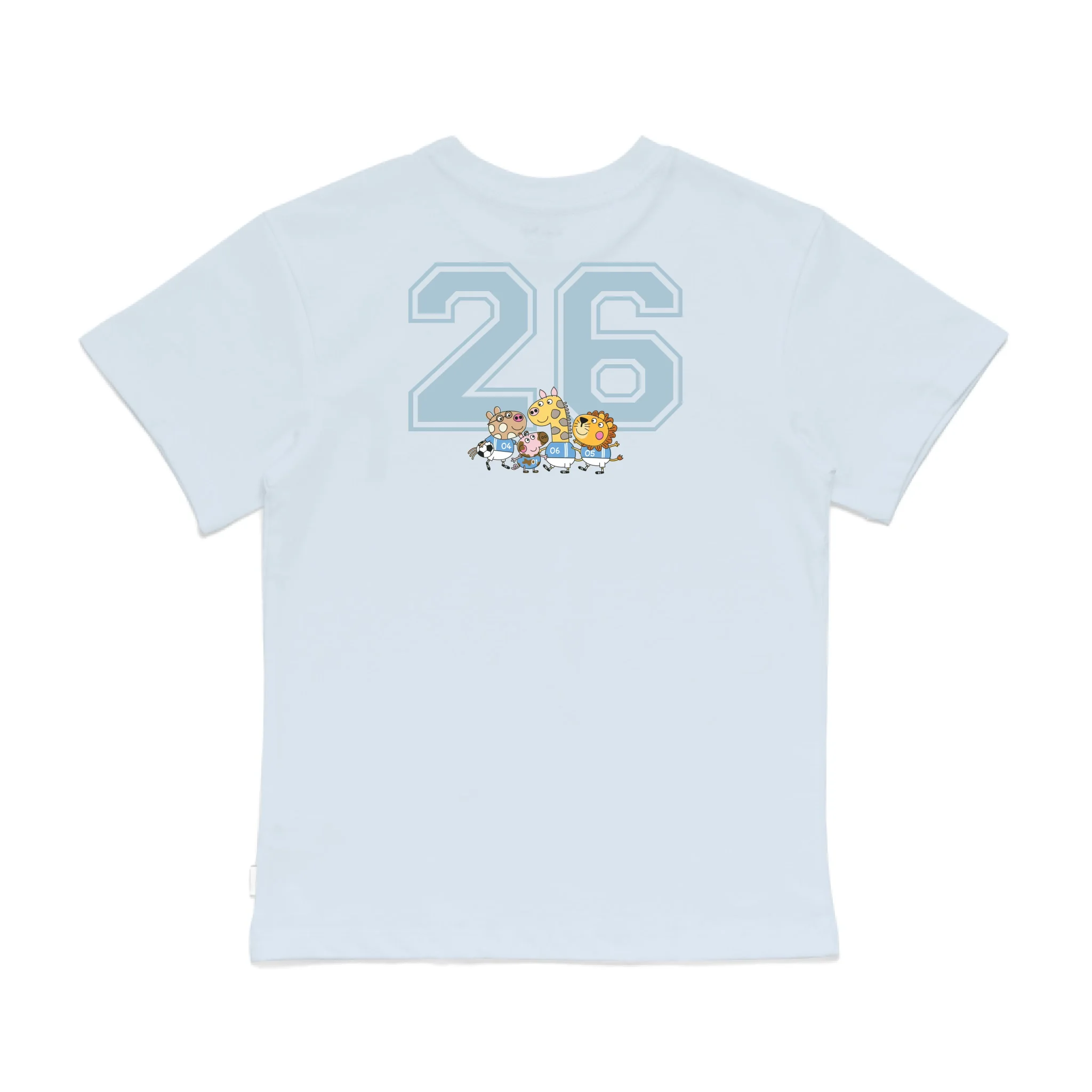 Roys Boys Bue T-Shirt Imagery_0008_Older Kids Back