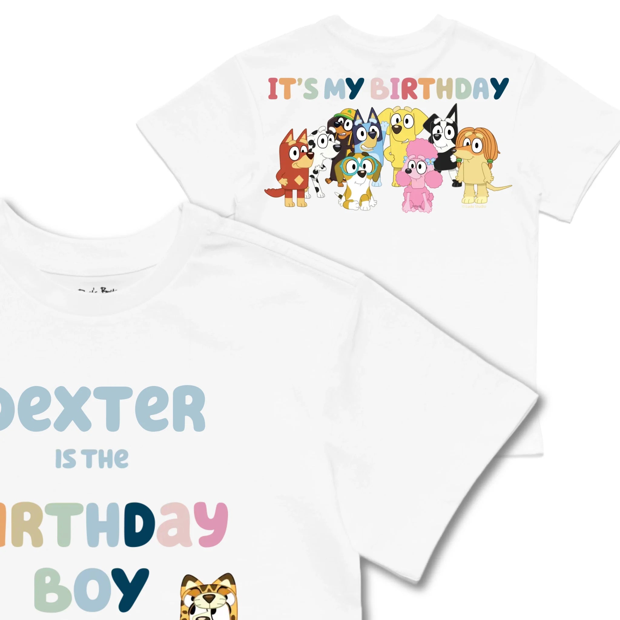 Kids TSHIRT Main Image Front and Back_White frontback back view