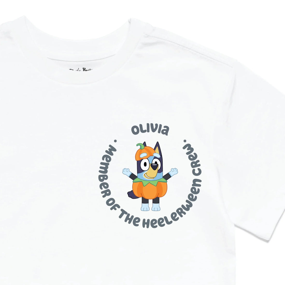 Roys Boys White T-Shirt Imagery_0010_Older Kids Front Zoomed In-01