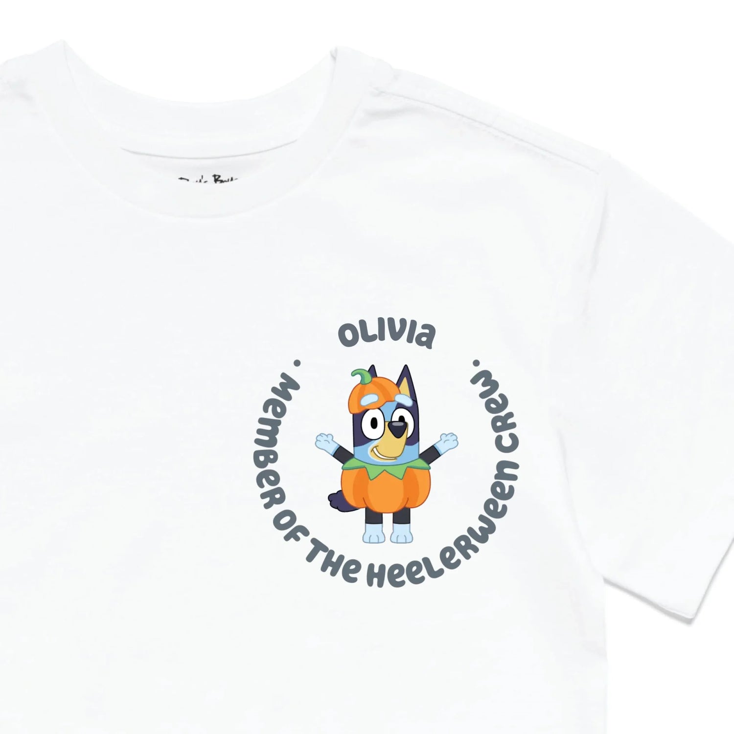 Roys Boys White T-Shirt Imagery_0010_Older Kids Front Zoomed In-01