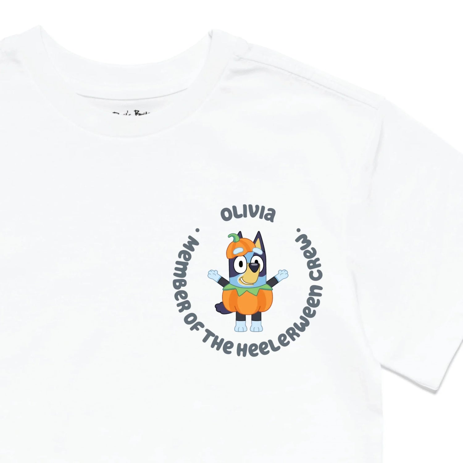 Roys Boys White T-Shirt Imagery_0010_Older Kids Front Zoomed In-01