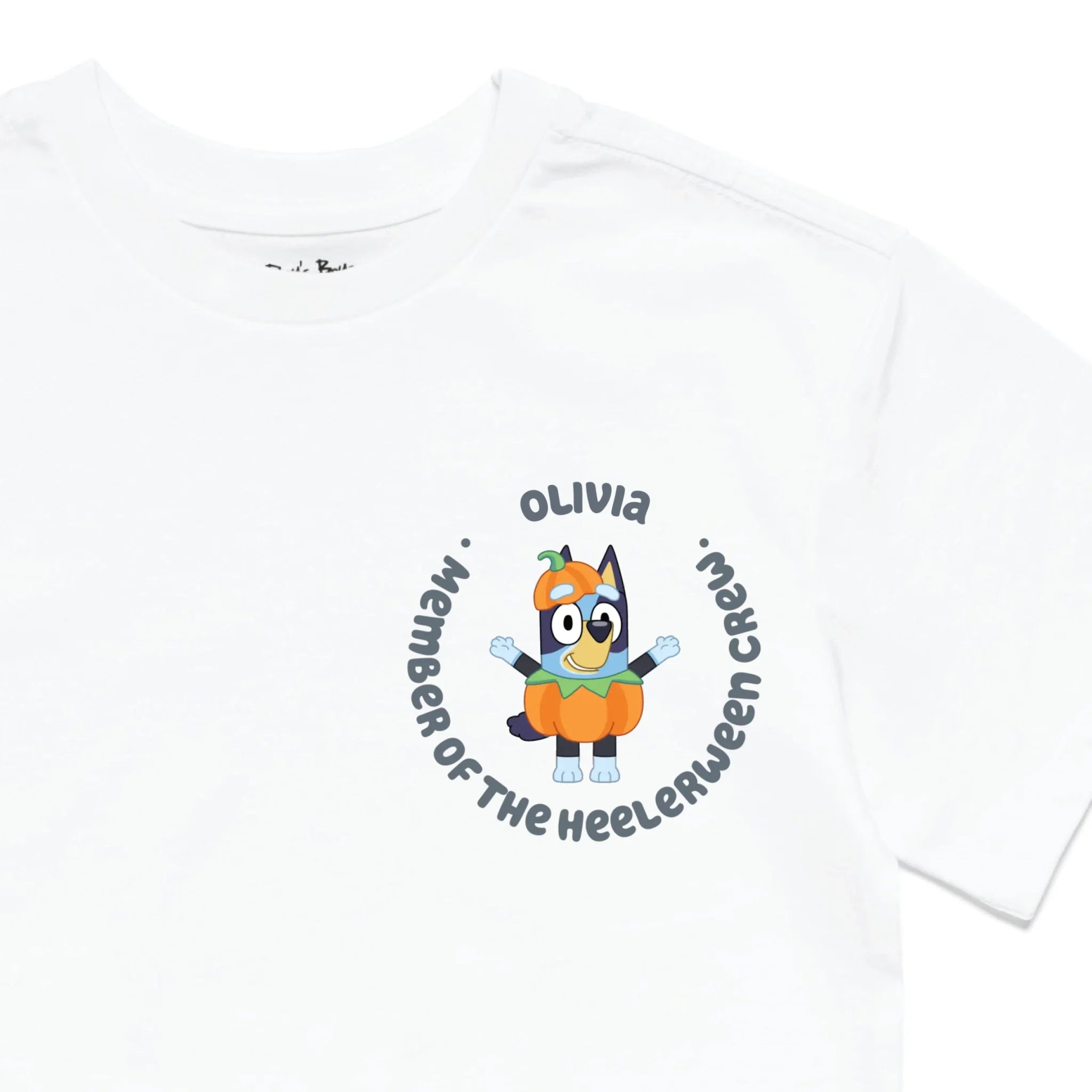 Roys Boys White T-Shirt Imagery_0010_Older Kids Front Zoomed In-01