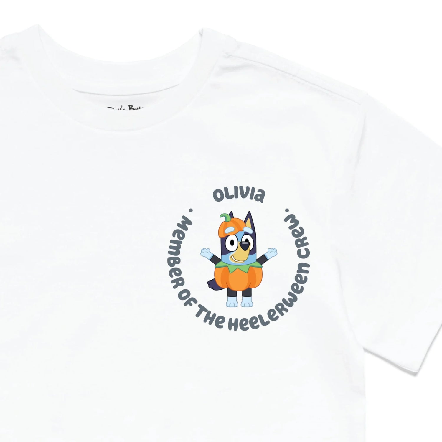 Roys Boys White T-Shirt Imagery_0010_Older Kids Front Zoomed In-01