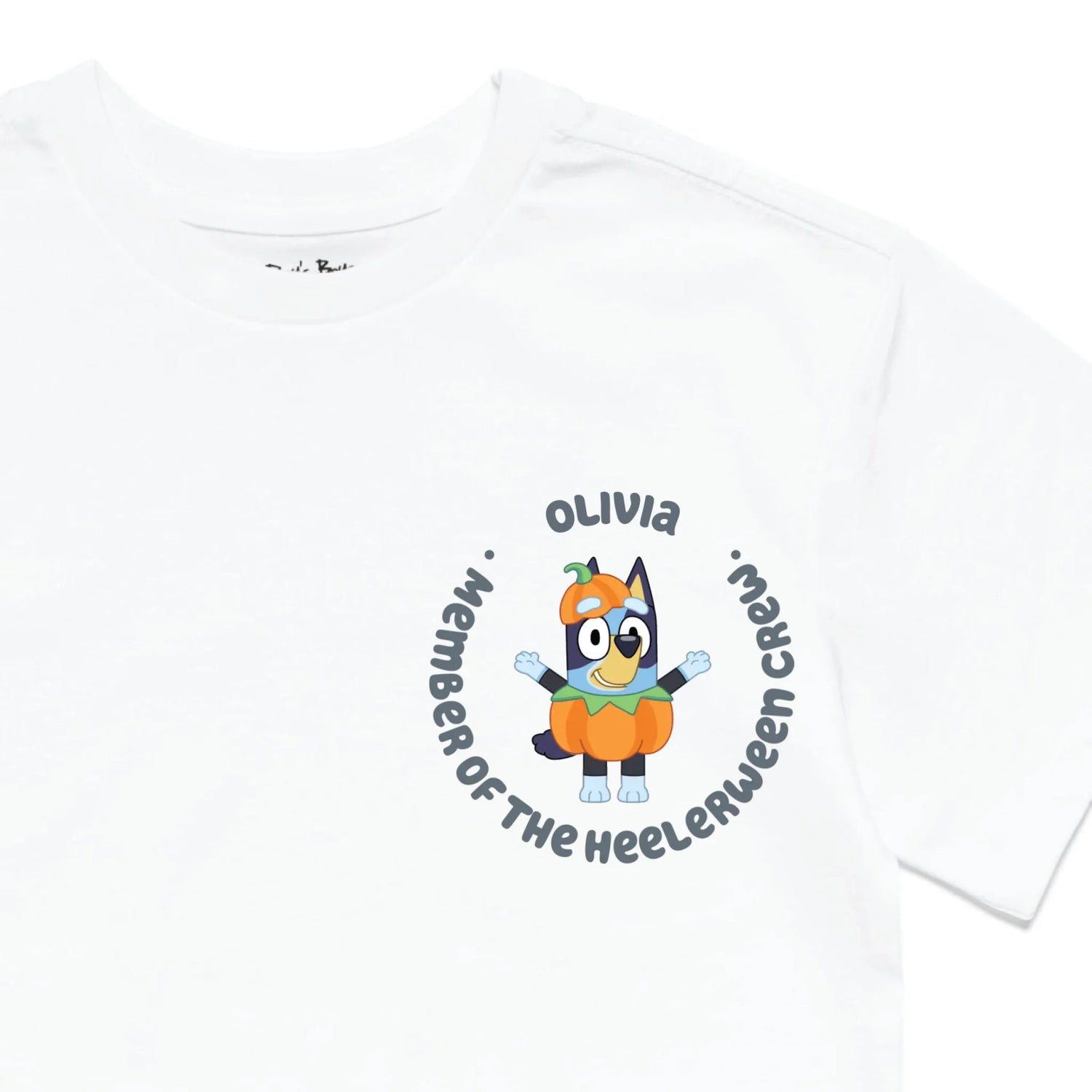 Roys Boys White T-Shirt Imagery_0010_Older Kids Front Zoomed In-01