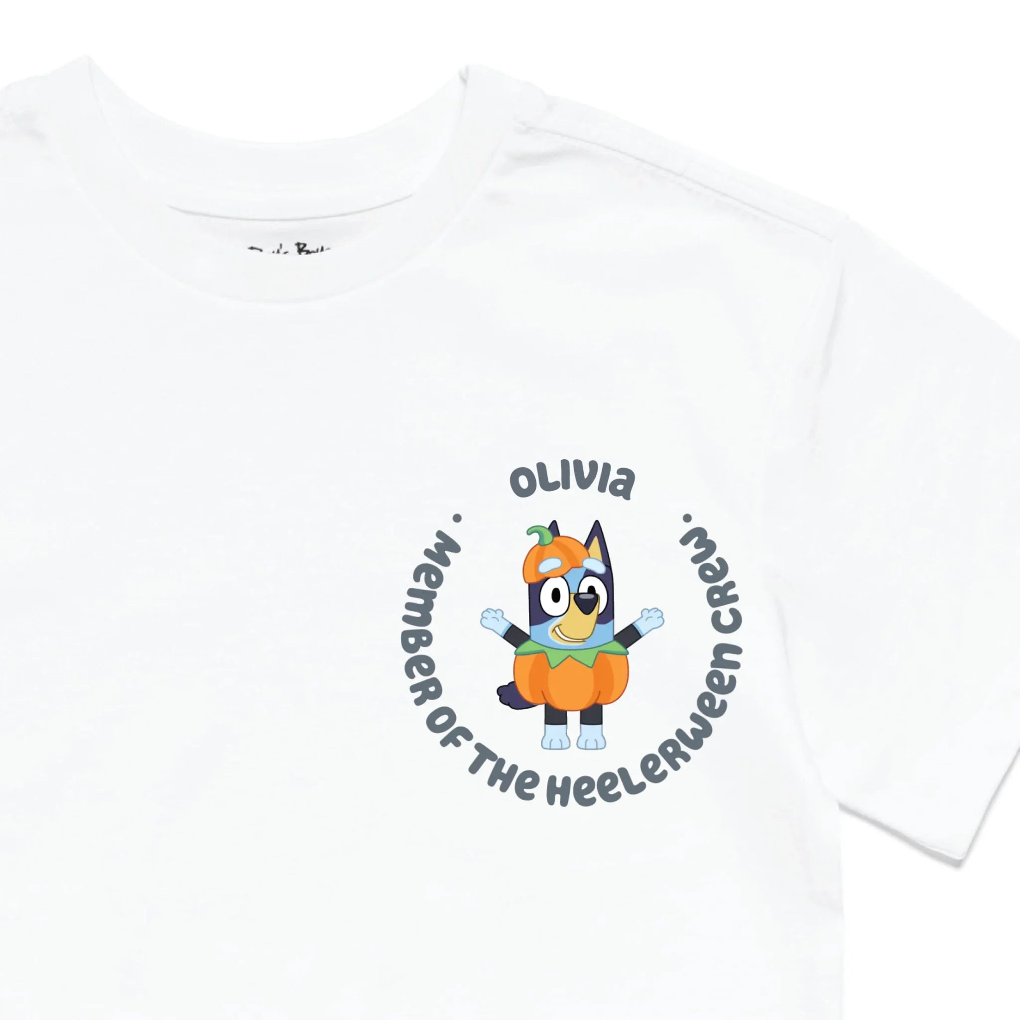 Roys Boys White T-Shirt Imagery_0010_Older Kids Front Zoomed In-01